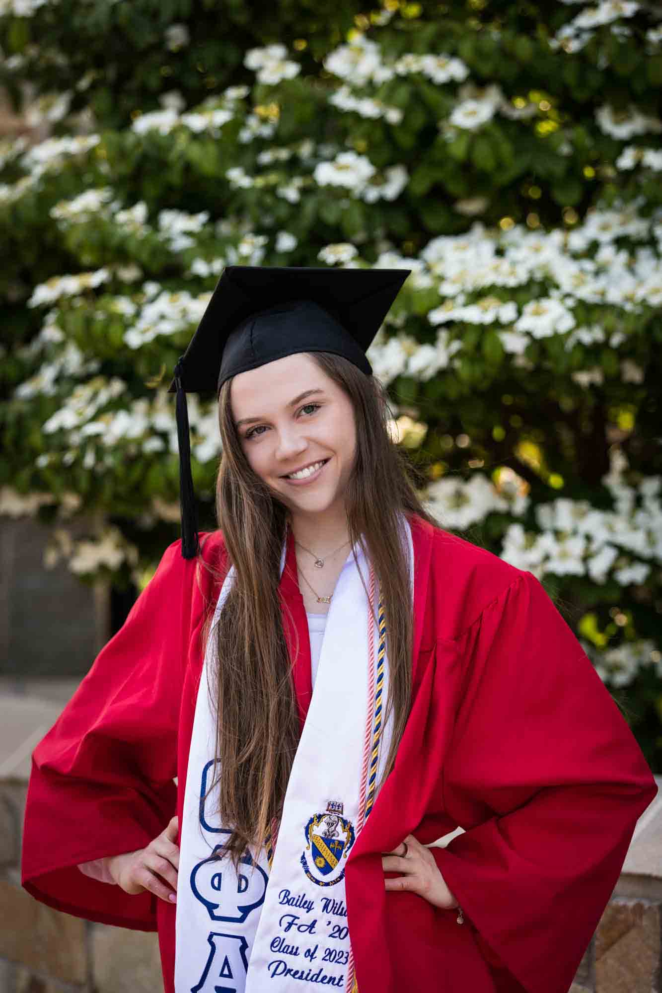 Female graduate in front of white flowering bush wearing red robe and graduation cap for an article on graduation portrait photo tips