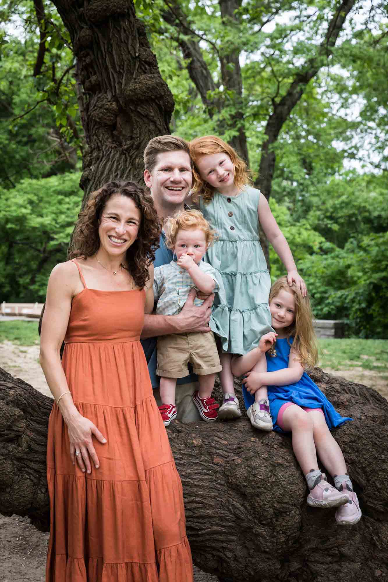 Family with three kids sitting in tree during a Central Park family portrait session
