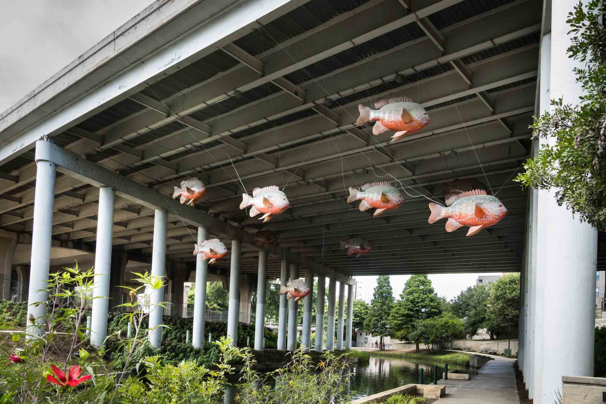 Large fake fish hanging from a highway overpass along the Riverwalk in San Antonio