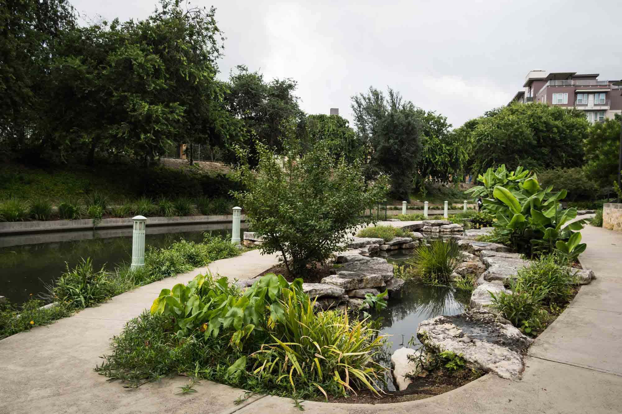 Small pond and plants along the Riverwalk in San Antonio