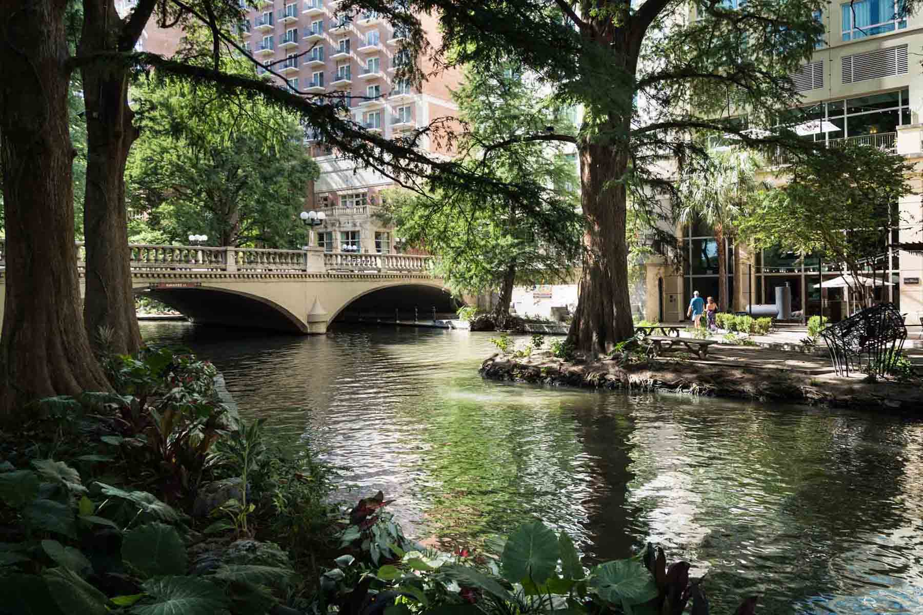 Bridge and plants along the Riverwalk in San Antonio