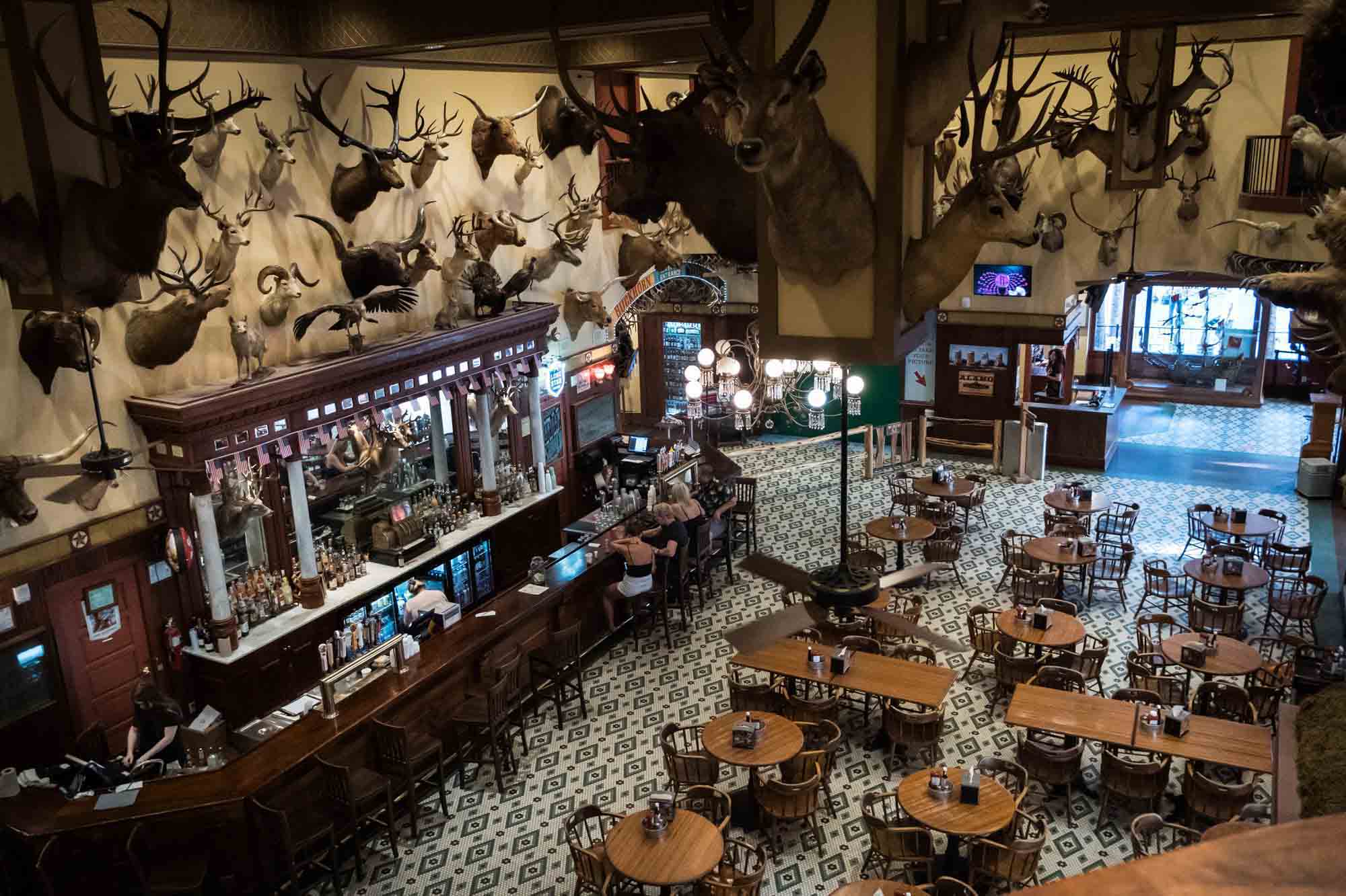 Interior of Buckhorn Saloon with walls covered by taxidermied animals in San Antonio