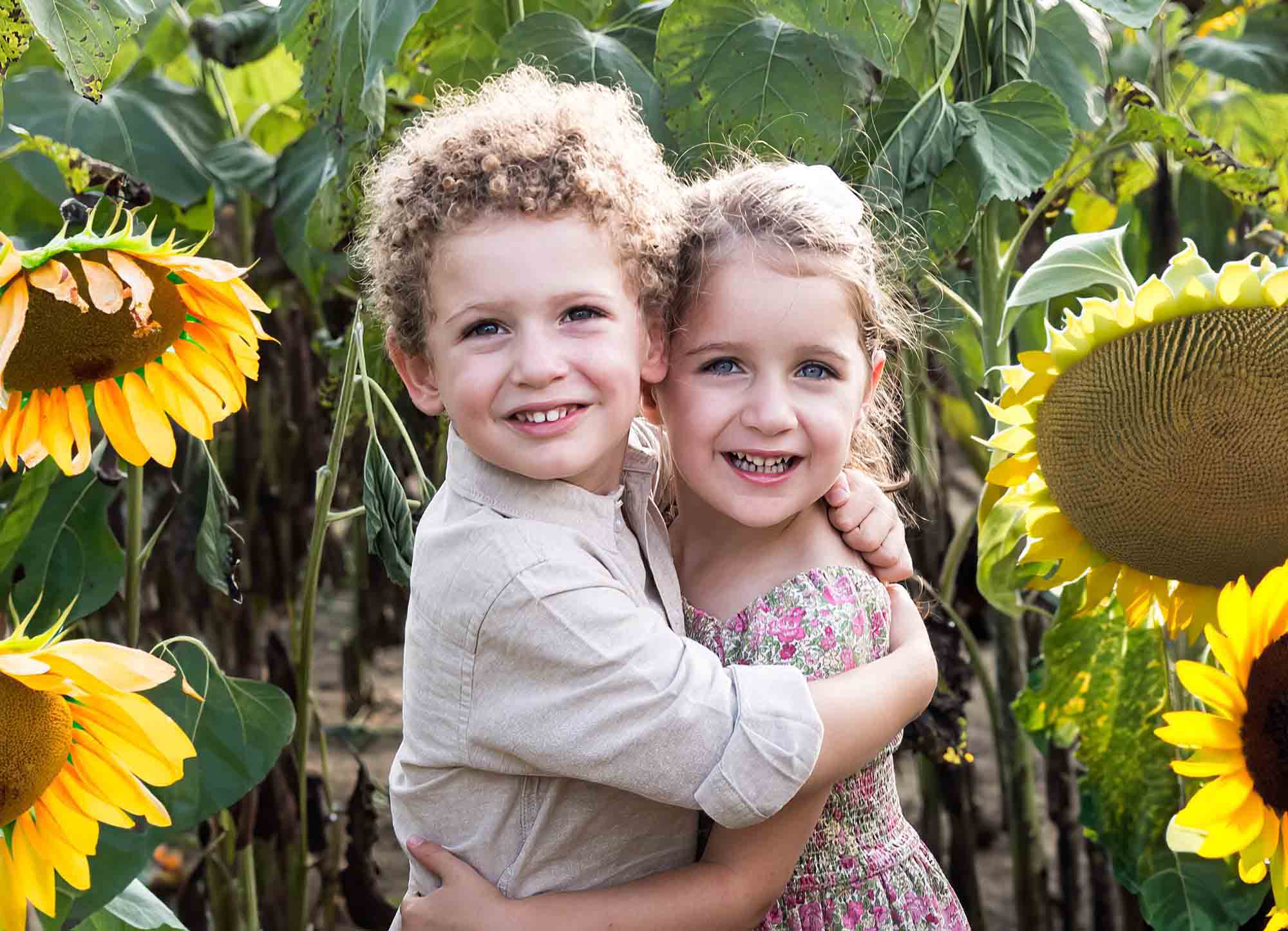 Little boy and girl hugging in sunflower field for an article on sunflower photo shoot tips