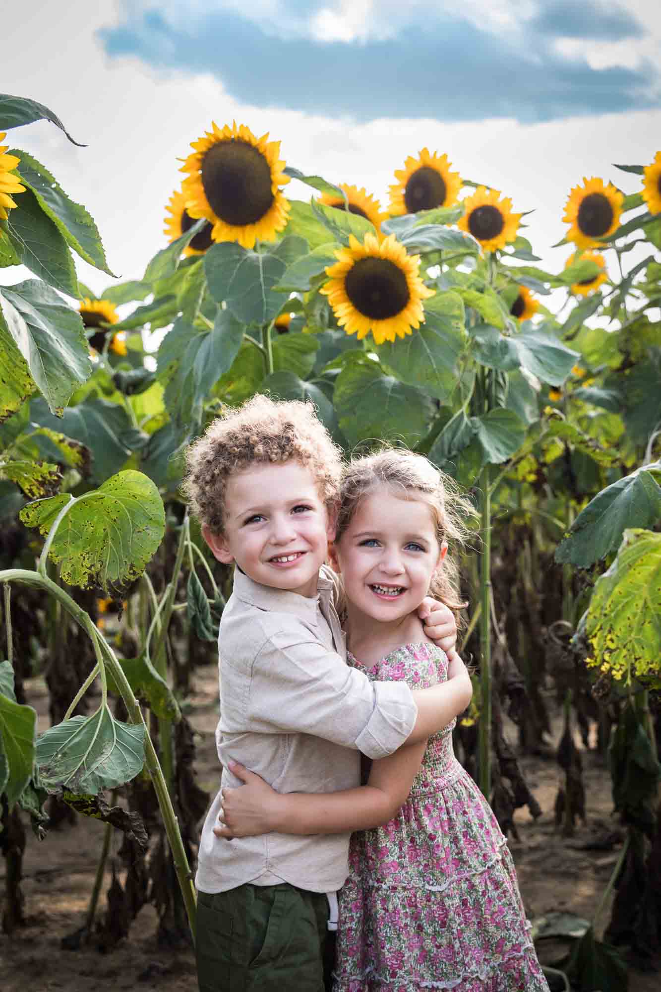 Little boy and girl hugging in sunflower field for an article on sunflower photo shoot tips