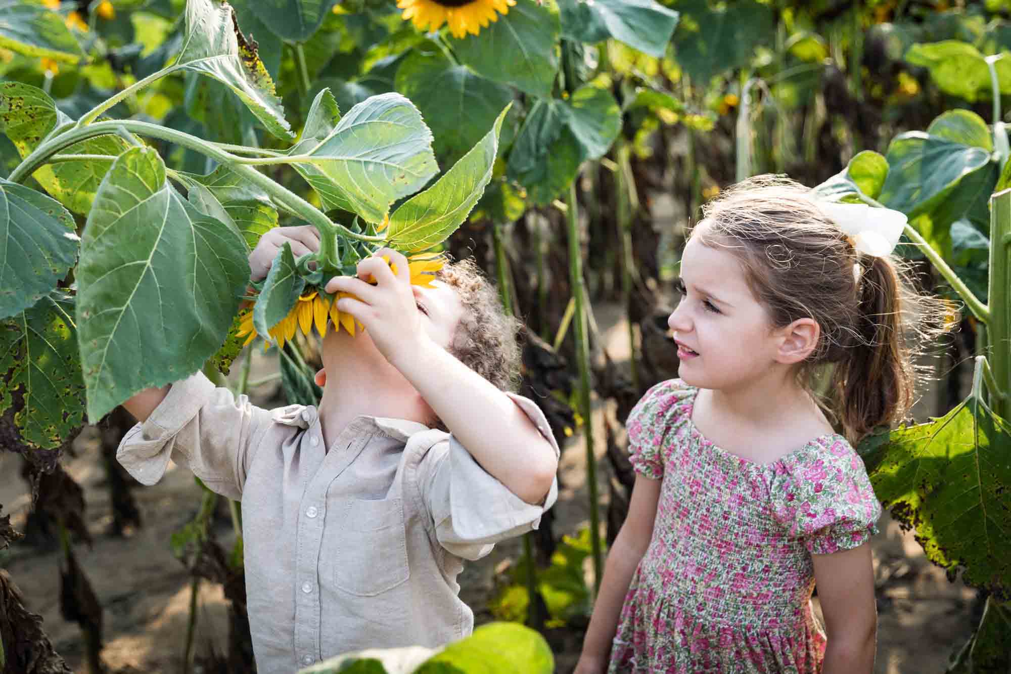 Kids playing with sunflowers