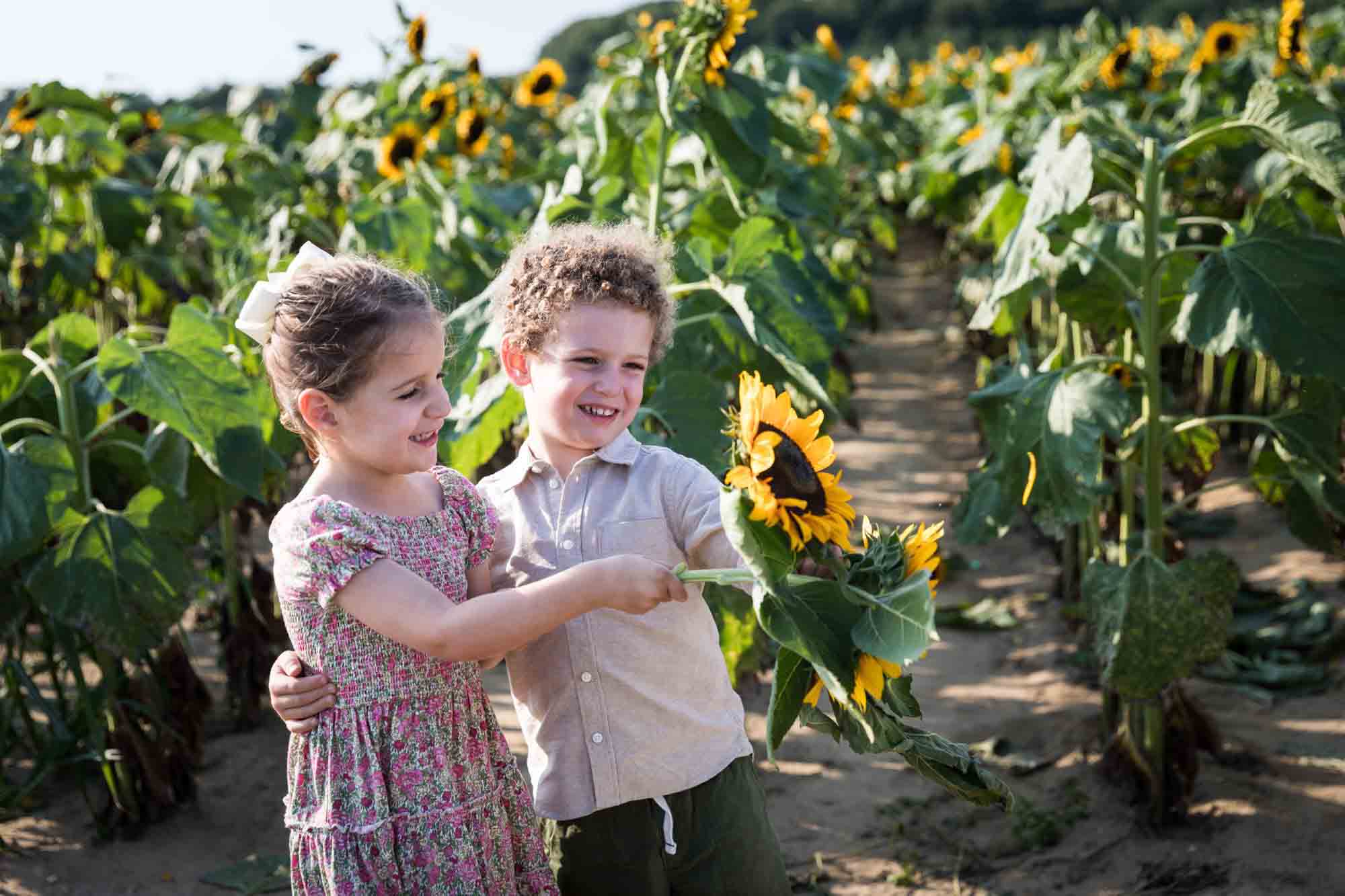 Little boy and girl playing with a big sunflower stalk