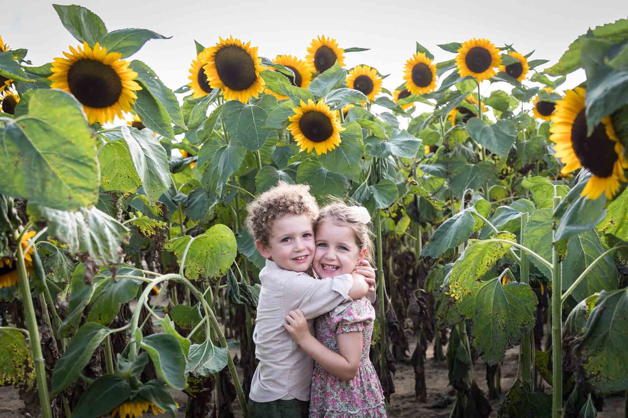 Little boy and girl hugging in sunflower field for an article on sunflower photo shoot tips