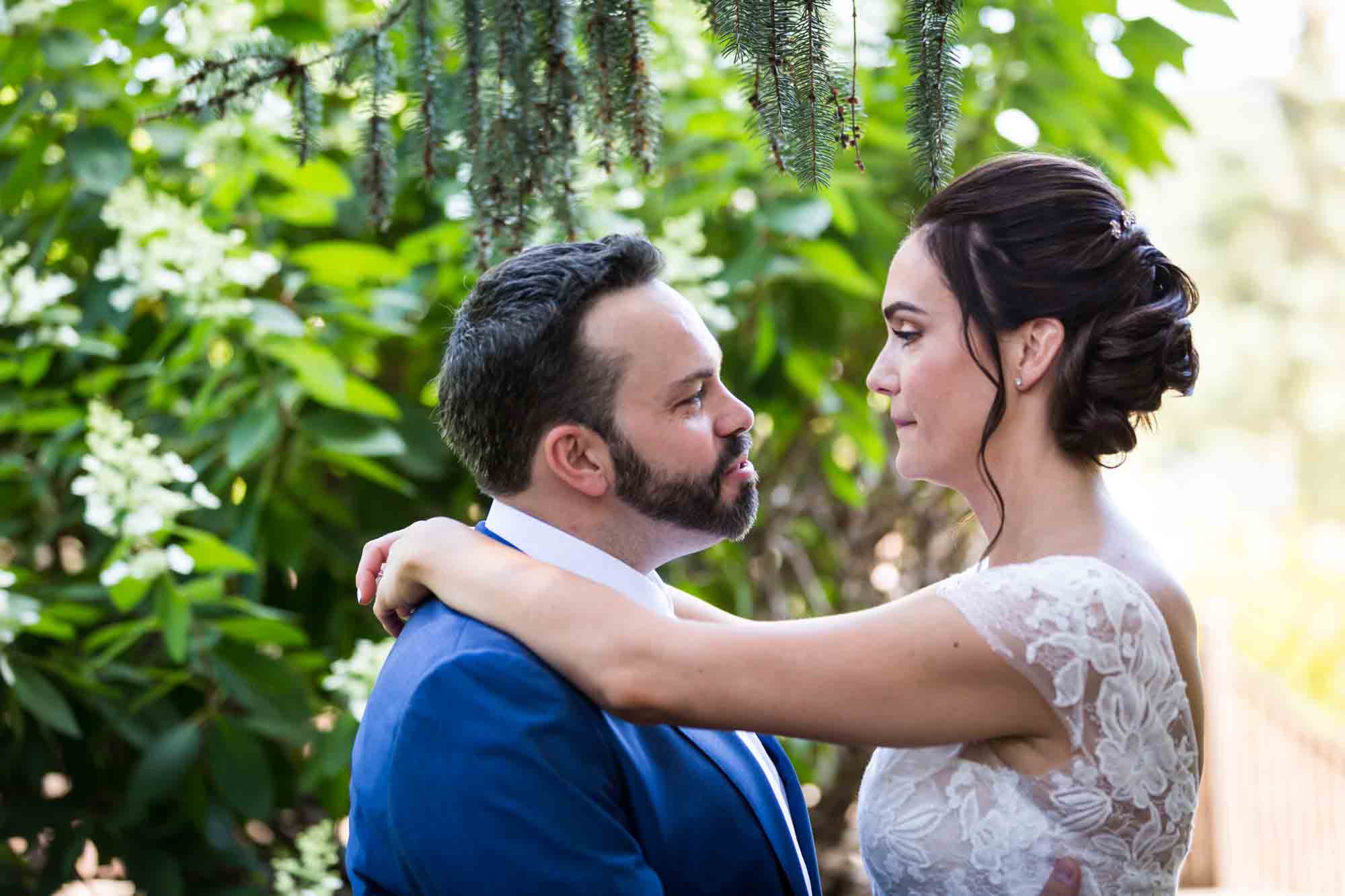 Bride and groom hugging in front of green bushes and white flowers for an article on how to find a San Antonio wedding photographer