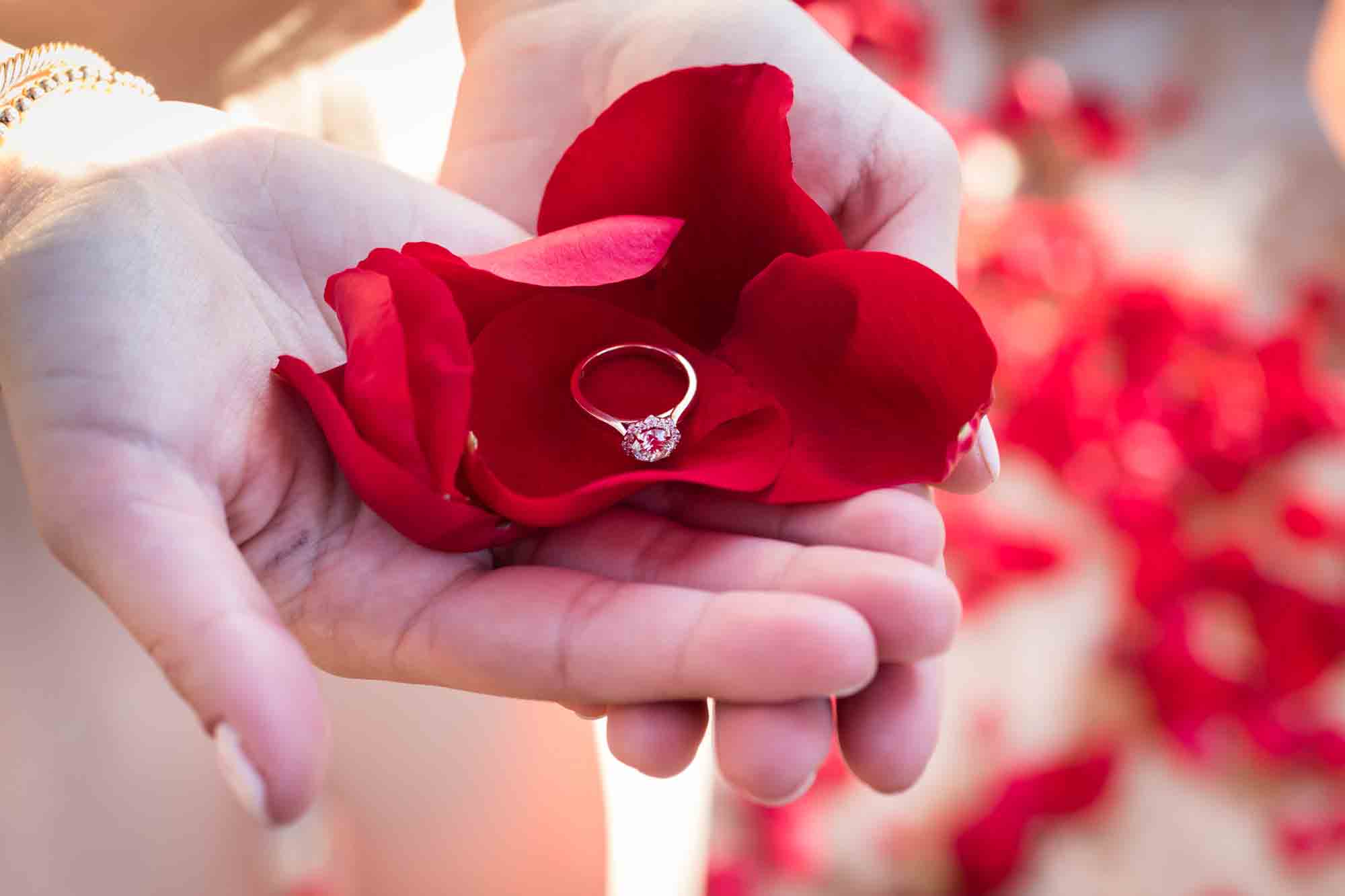 Close up of woman's hands with red rose petals and engagement ring in her palm