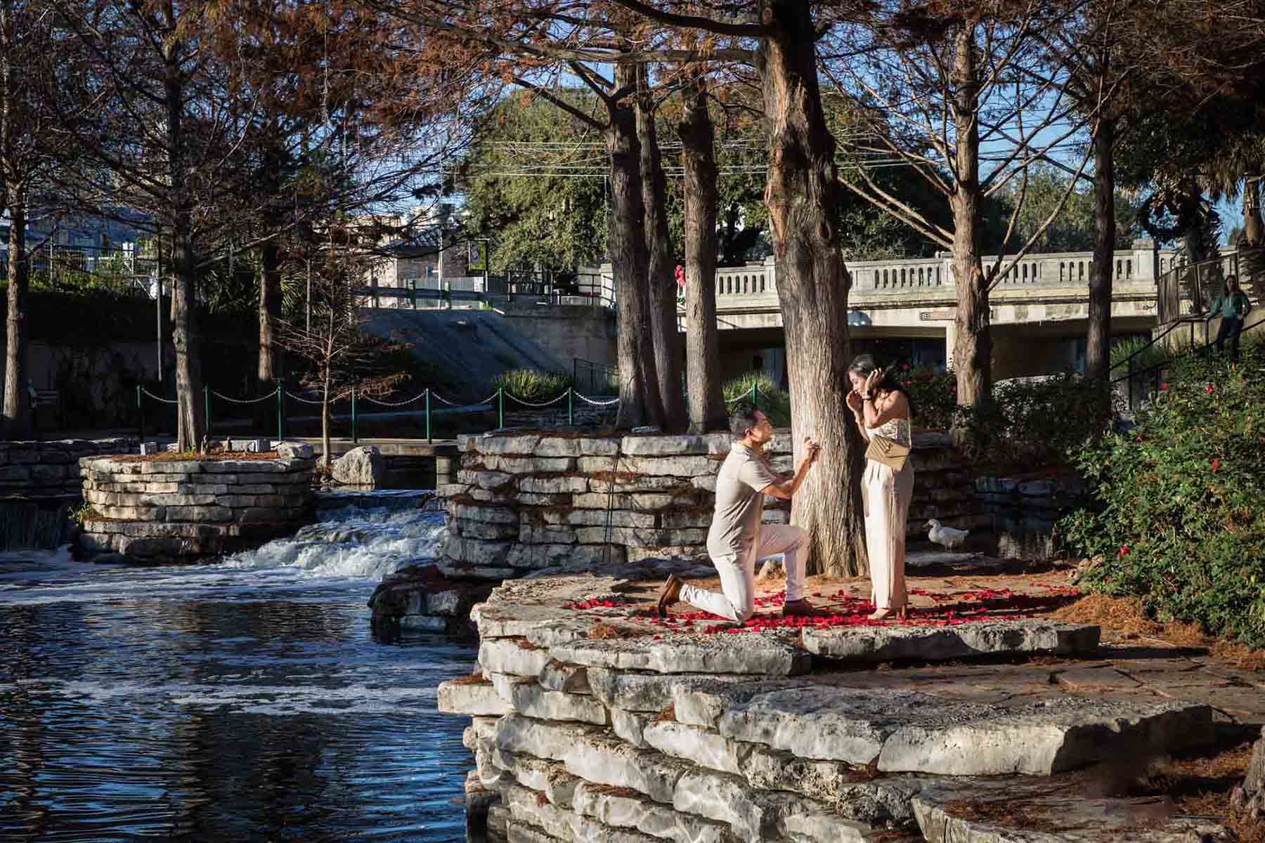 Man on bended knee proposing to woman on island by the Riverwalk by San Antonio photographer, Kelly Williams