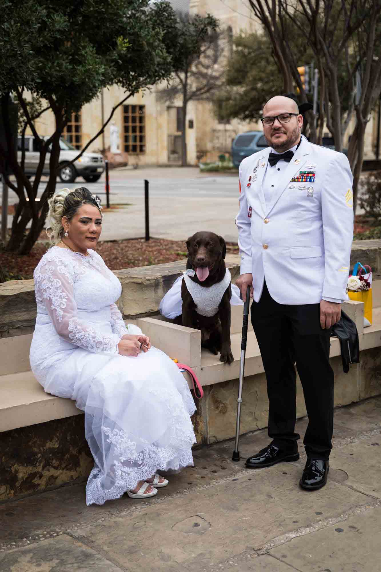 Bride and groom wearing white military uniform standing with brown labrador dog wearing wedding dress