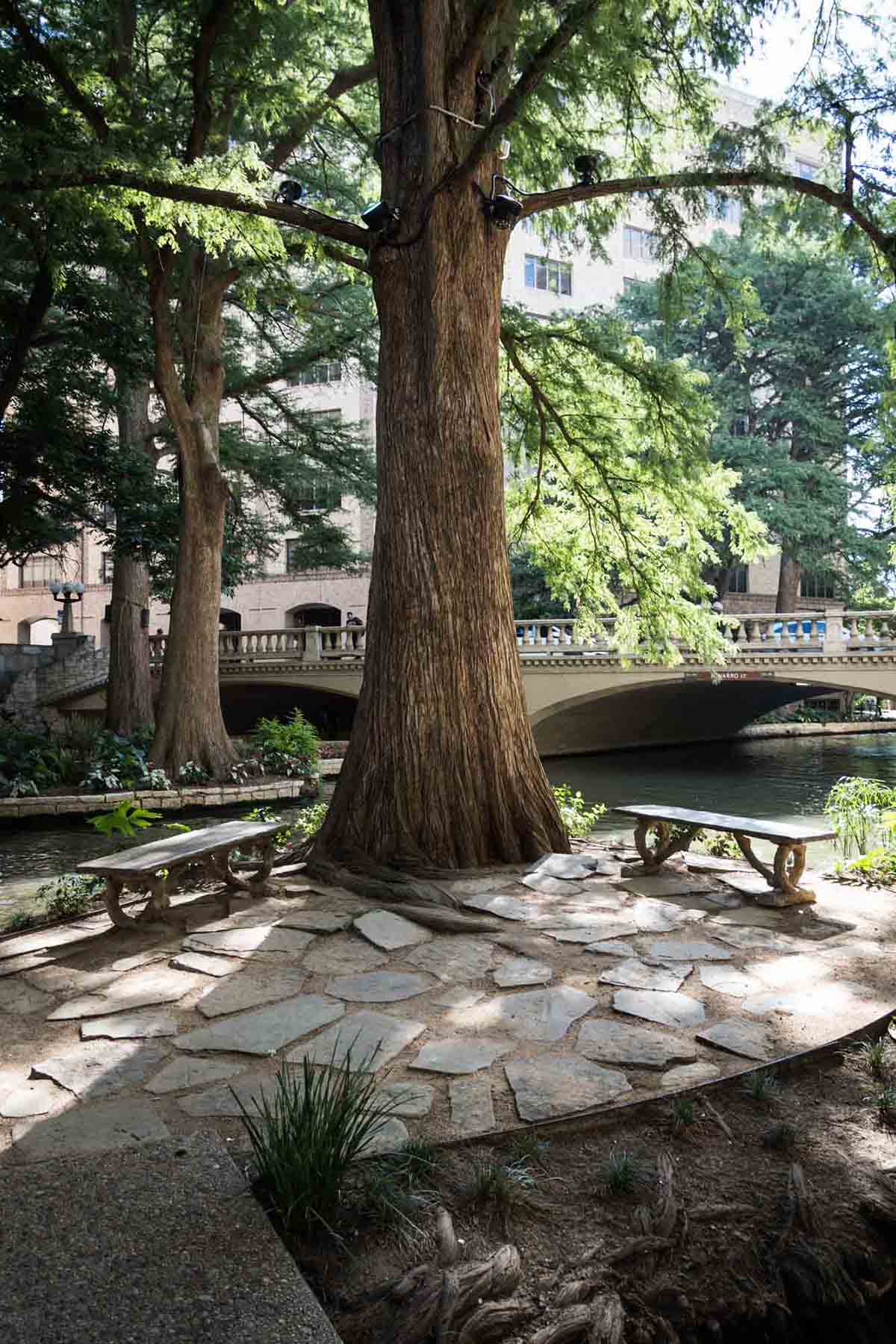 Wide shot of marriage island with two wooden benches beside Riverwalk for an article on how to get married on Marriage Island