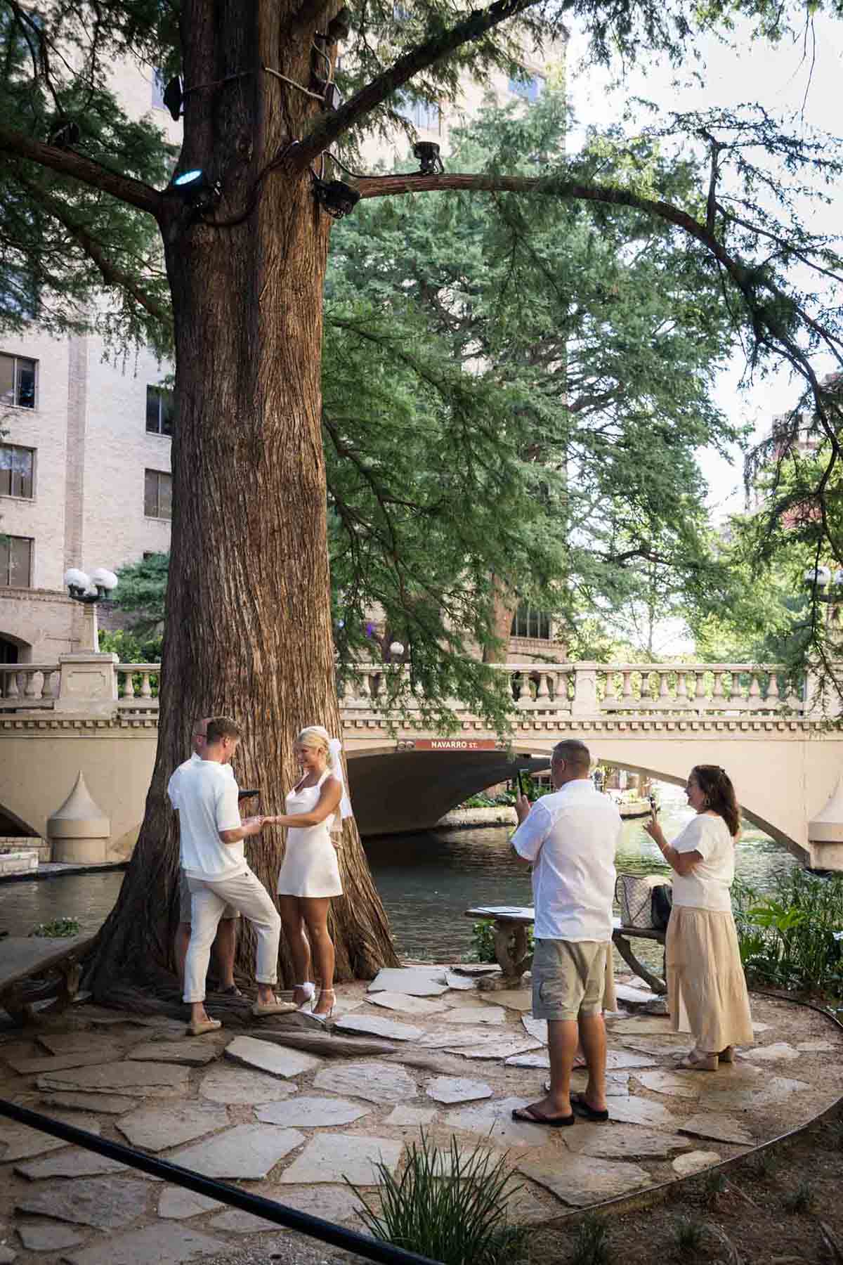 Couple getting married in front of family on marriage island with large tree beside Riverwalk for an article on how to get married on Marriage Island