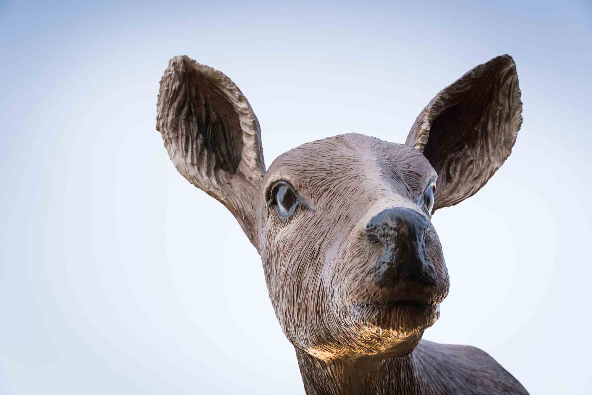 Head of giant deer sculpture for an article on how to take photos at the McNay Art Museum