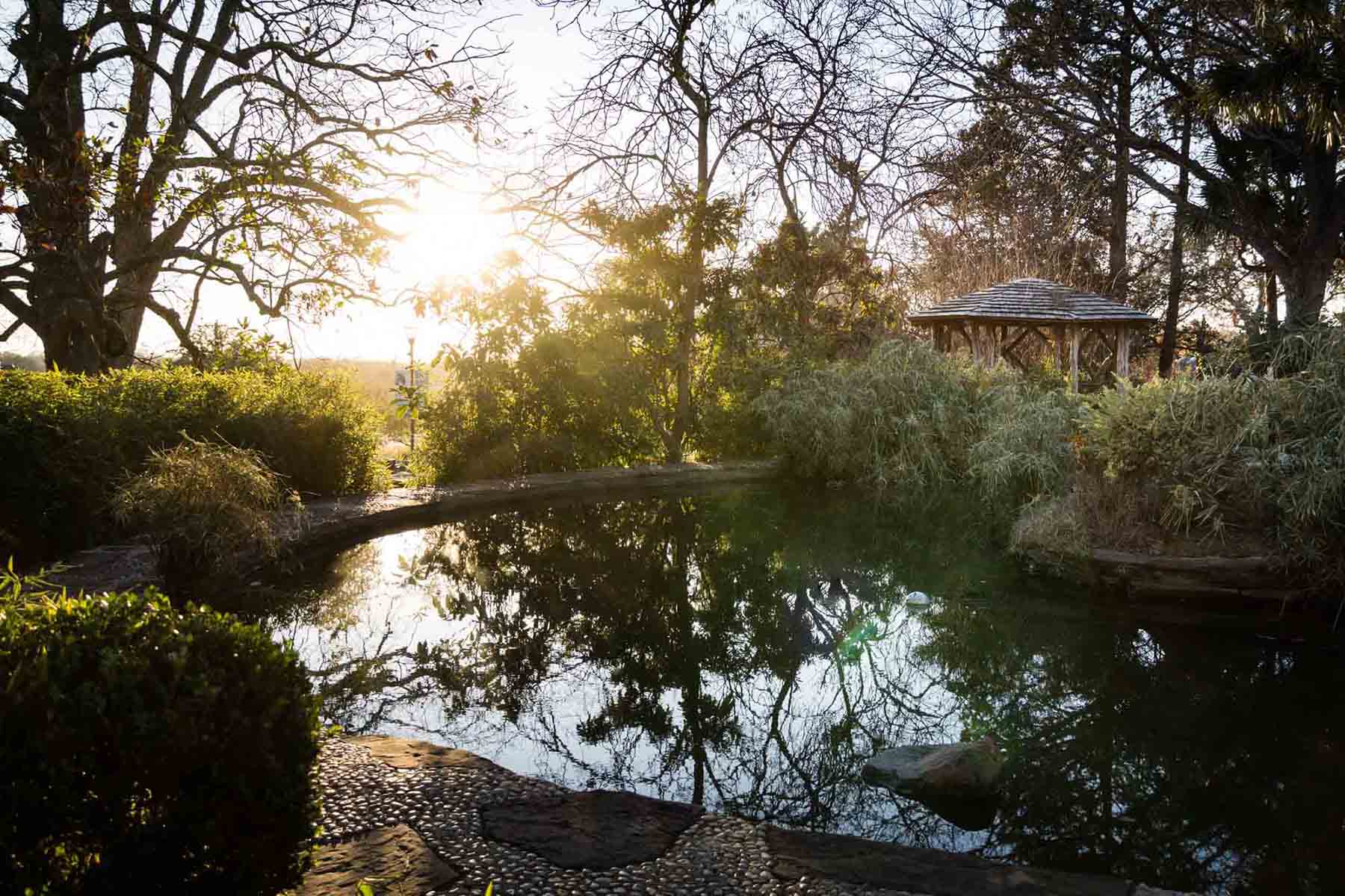 Koi pond and Asian-style gazebo for an article on how to take photos at the McNay Art Museum