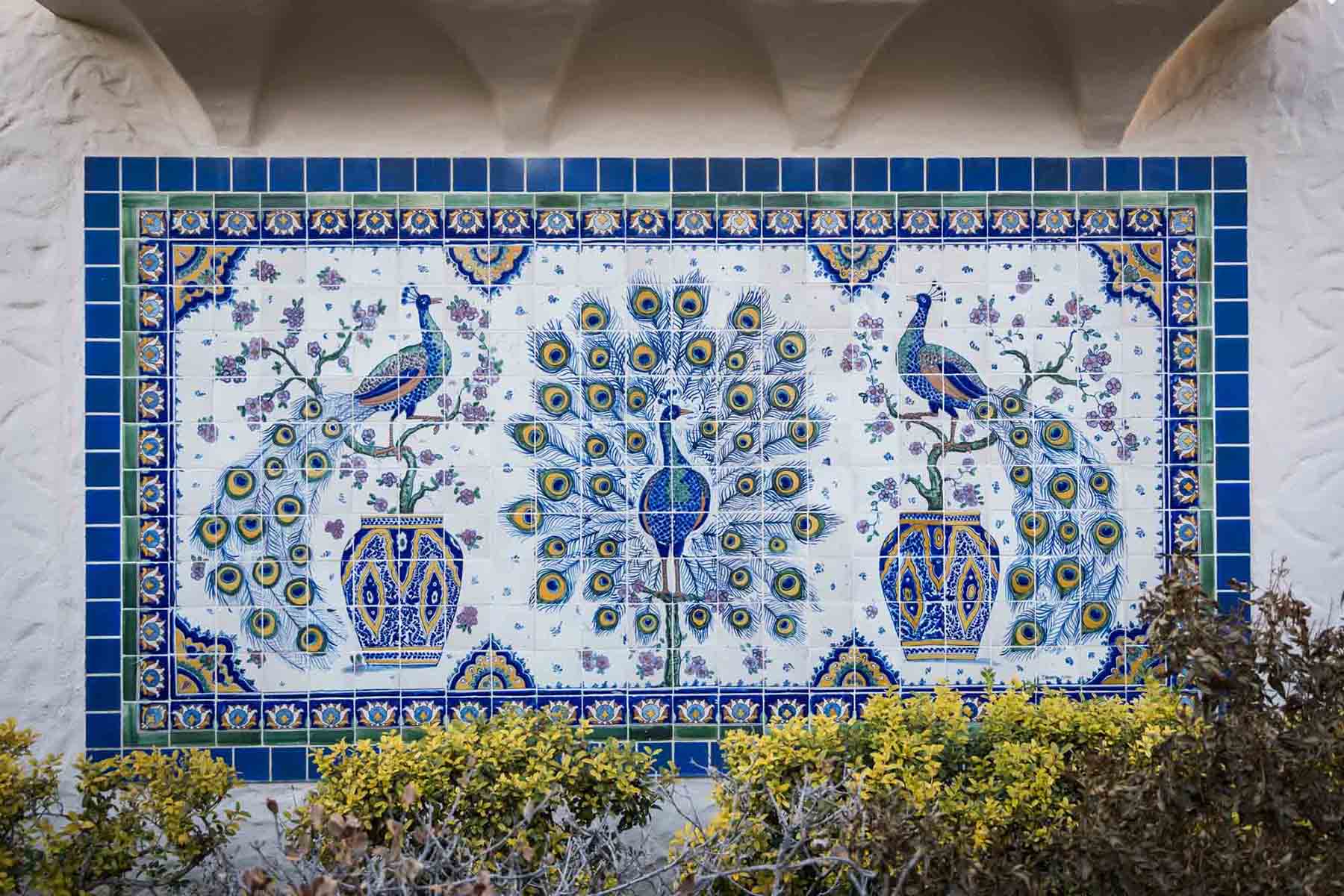 Wall mural of peacocks on tiles in Blackburn Patio for an article on how to take photos at the McNay Art Museum