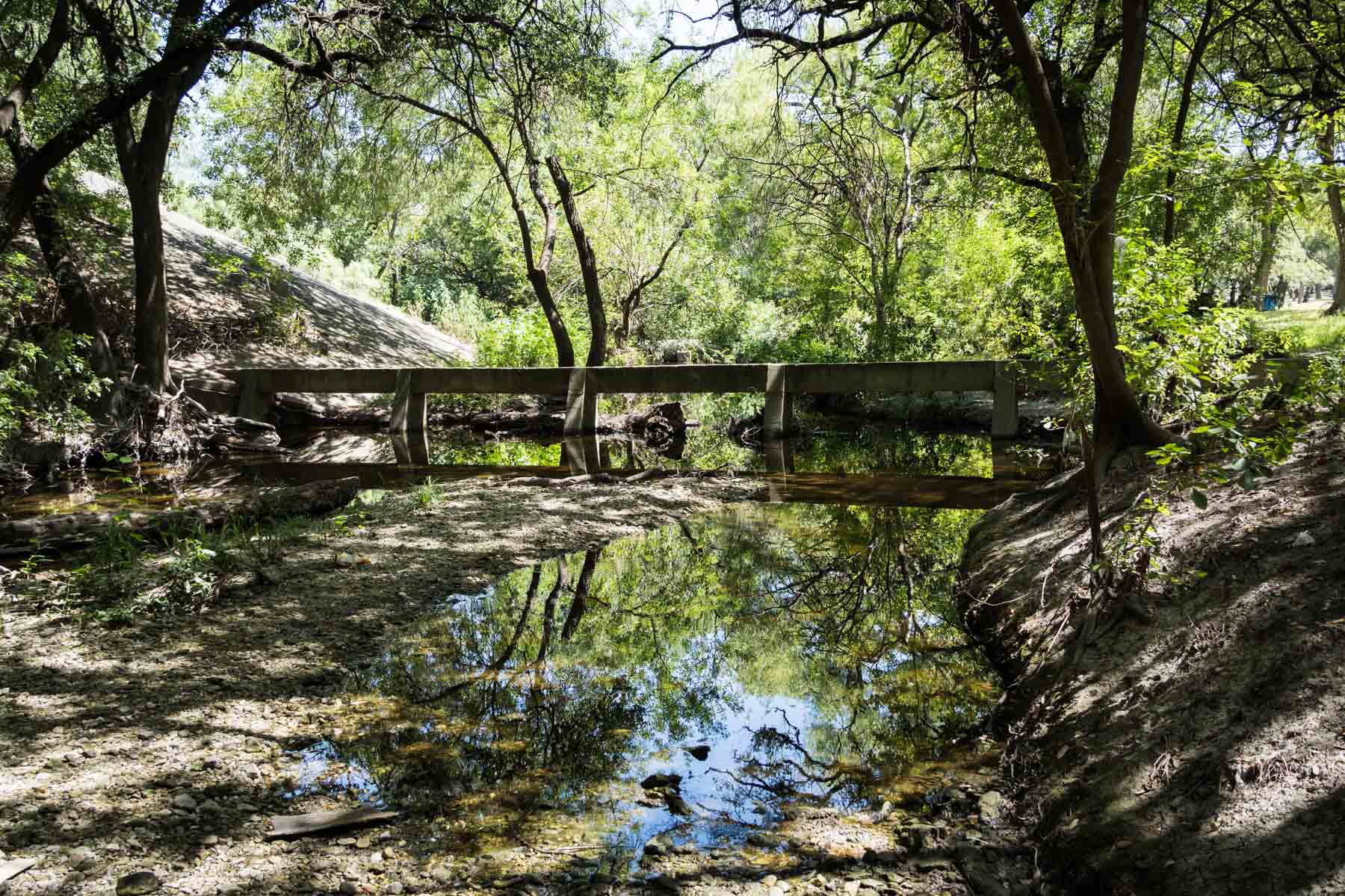 Bridge across creek in Olmos Basin Park for an article on the best San Antonio parks for family portraits