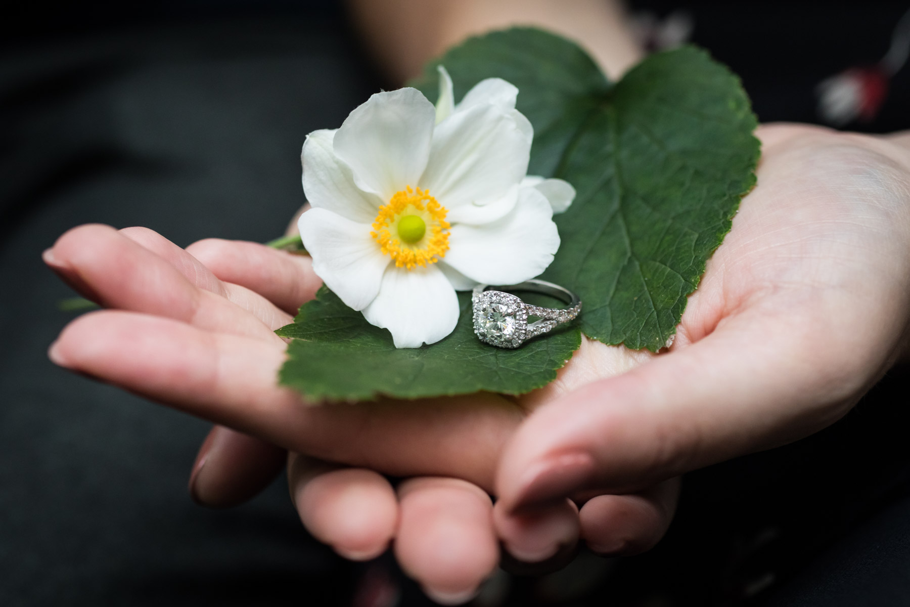 Close up of woman's hand holding white flower and engagement ring for an article on how to propose at the Tower of the Americas