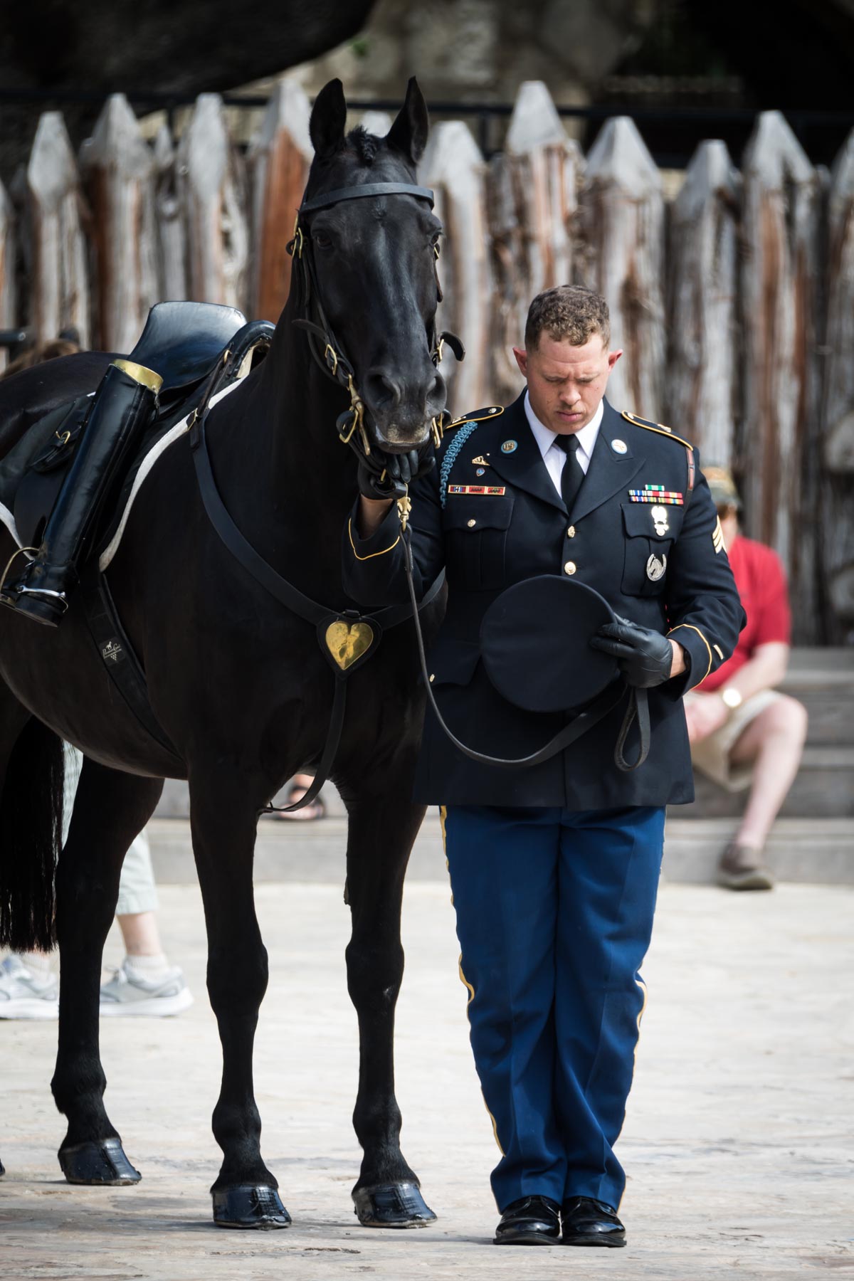 Soldier holding black horse on leash during pilgrimage to Alamo for an article on the best Fiesta photos