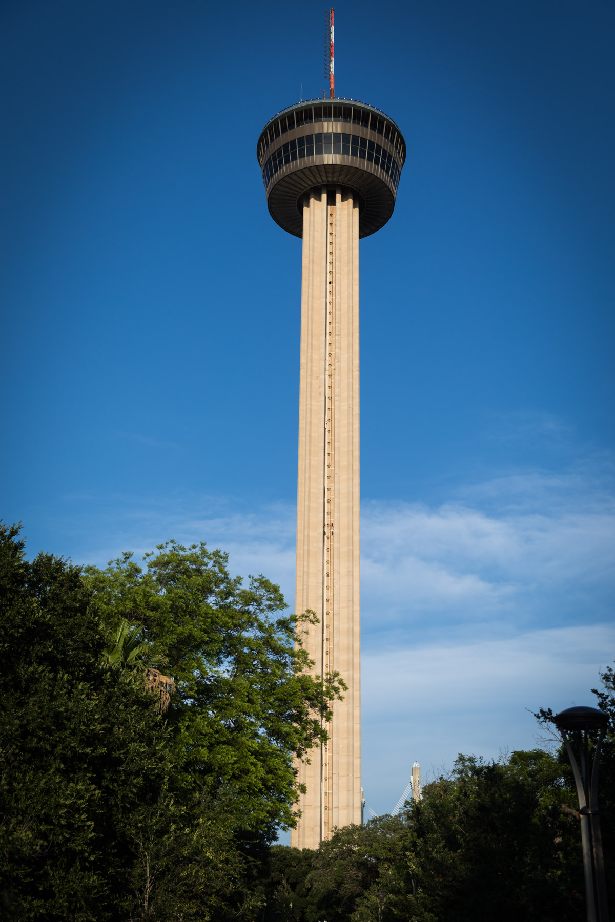 Tower of the Americas with trees in foreground for an article on the perfect downtown San Antonio family portrait itinerary