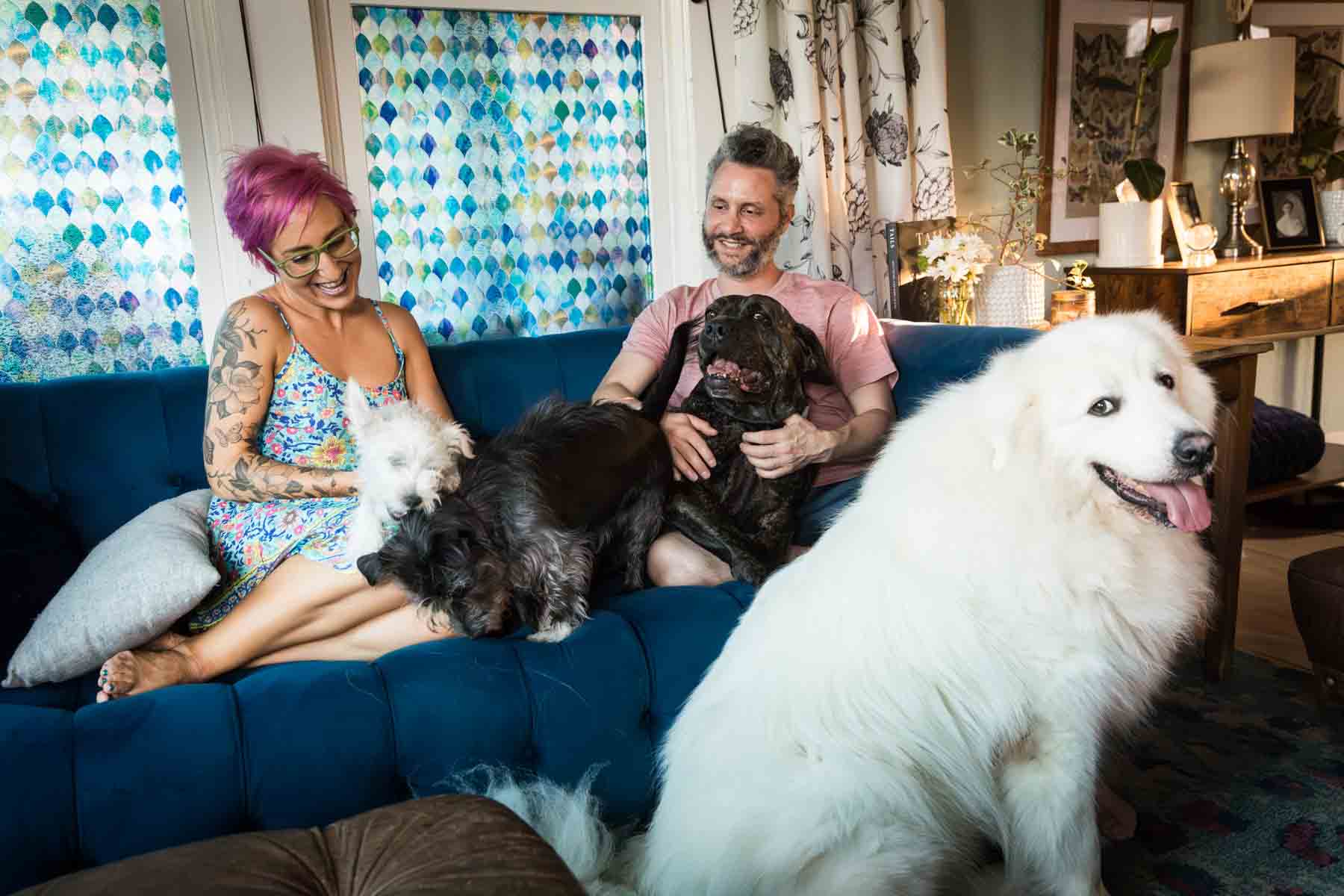Couple lying on blue couch surrounded by four dogs for an article on pet photo tips