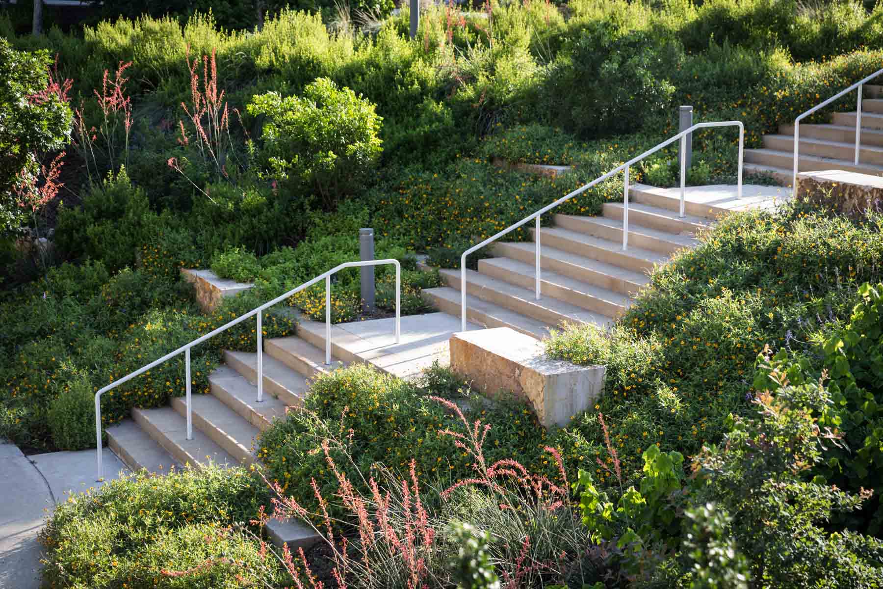 Stone stairs between landscaped area at the San Pedro Creek for an article on secret San Antonio photo shoot locations