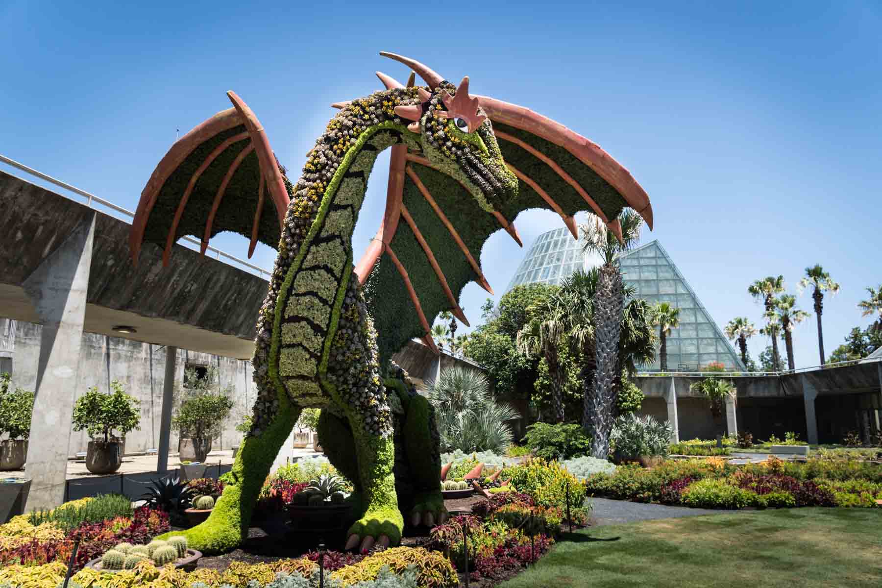 Topiary dragon in front of greenhouse and gardens at the San Antonio Botanical Garden for an article listing the best places to propose in San Antonio