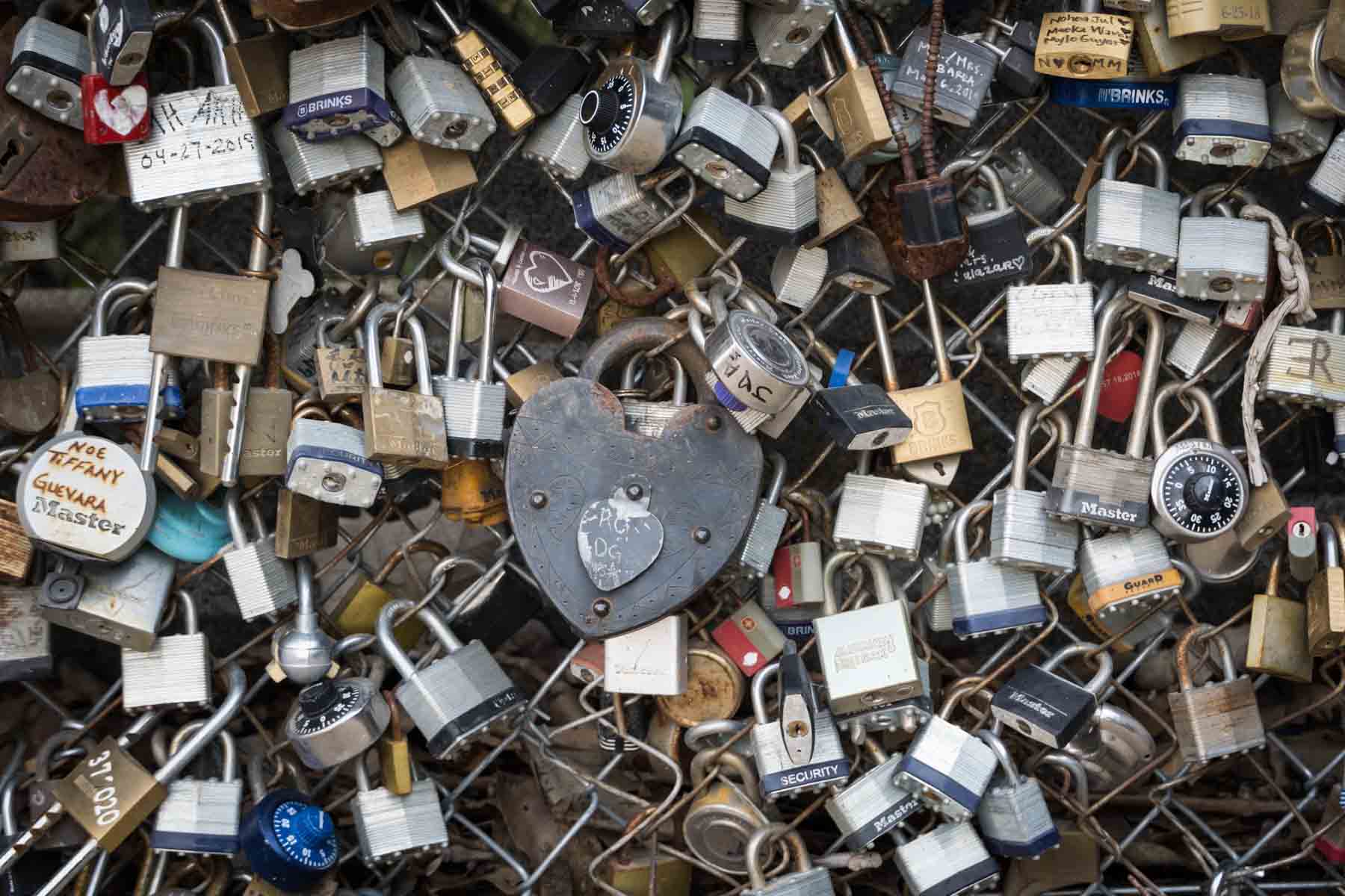 Close up of locks on Love Lock Bridge fence in San Antonio for an article listing the best places to propose in San Antonio