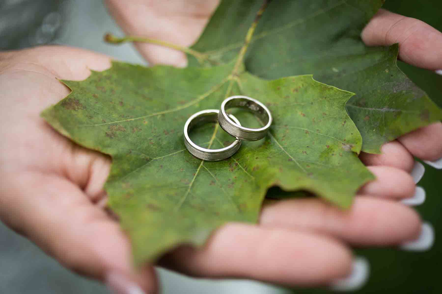 Close up of woman's hands holding wedding rings on green leaves for an article on how to have an eco-friendly wedding