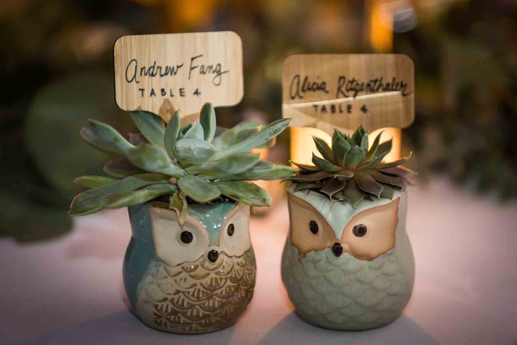 Close up ceramic owl planters with succulents used for guest favors for an article on how to have an eco-friendly wedding