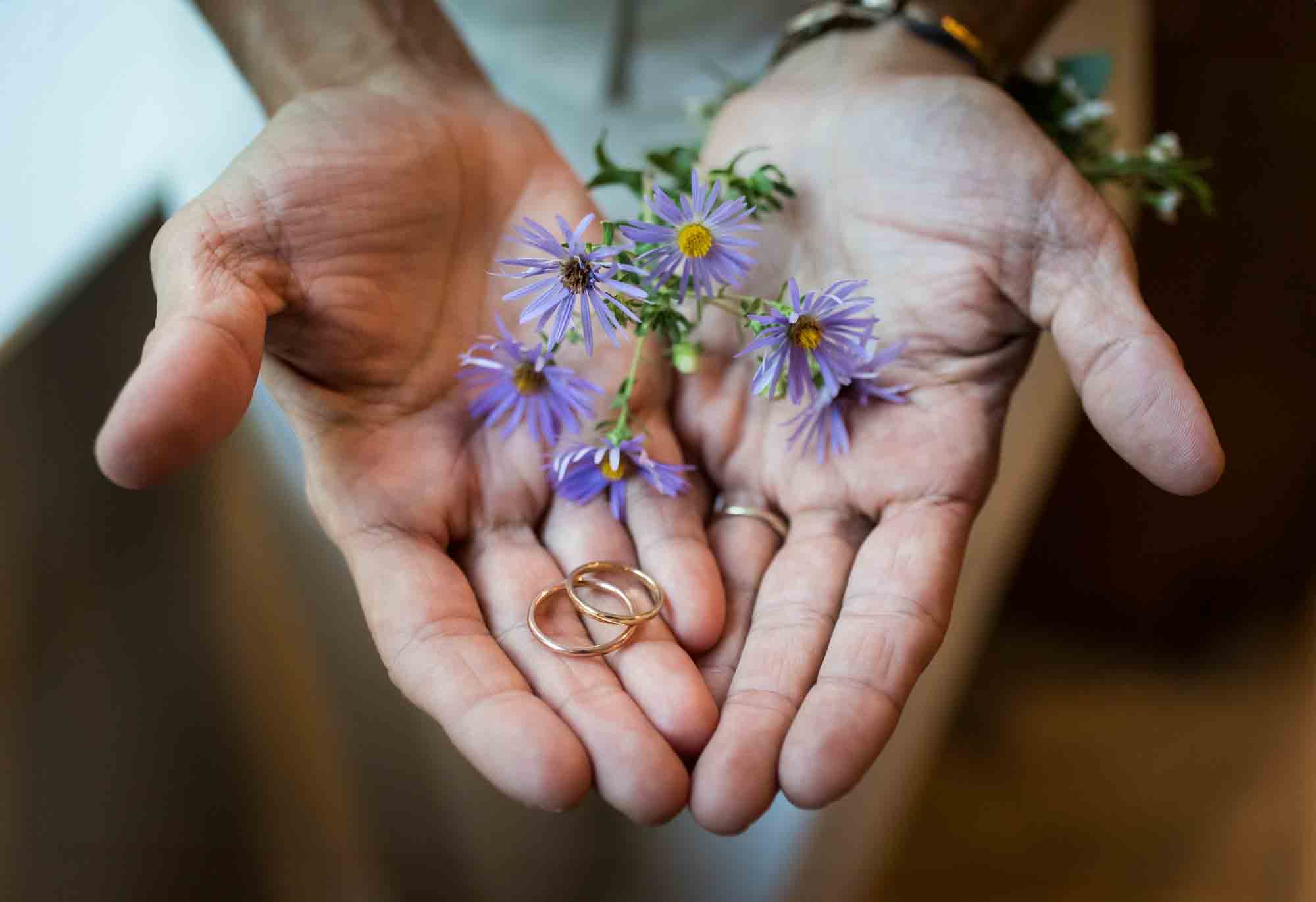 Close up of woman's hands showing wedding rings with sprig of purple aster flowers