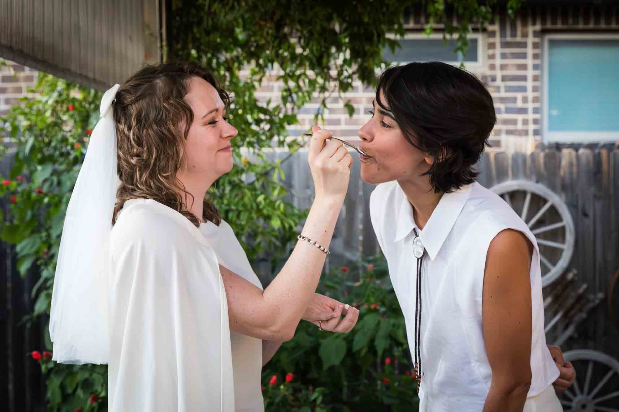 Bride wearing veil feeding cake to other bride with short dark hair at a Boerne backyard wedding