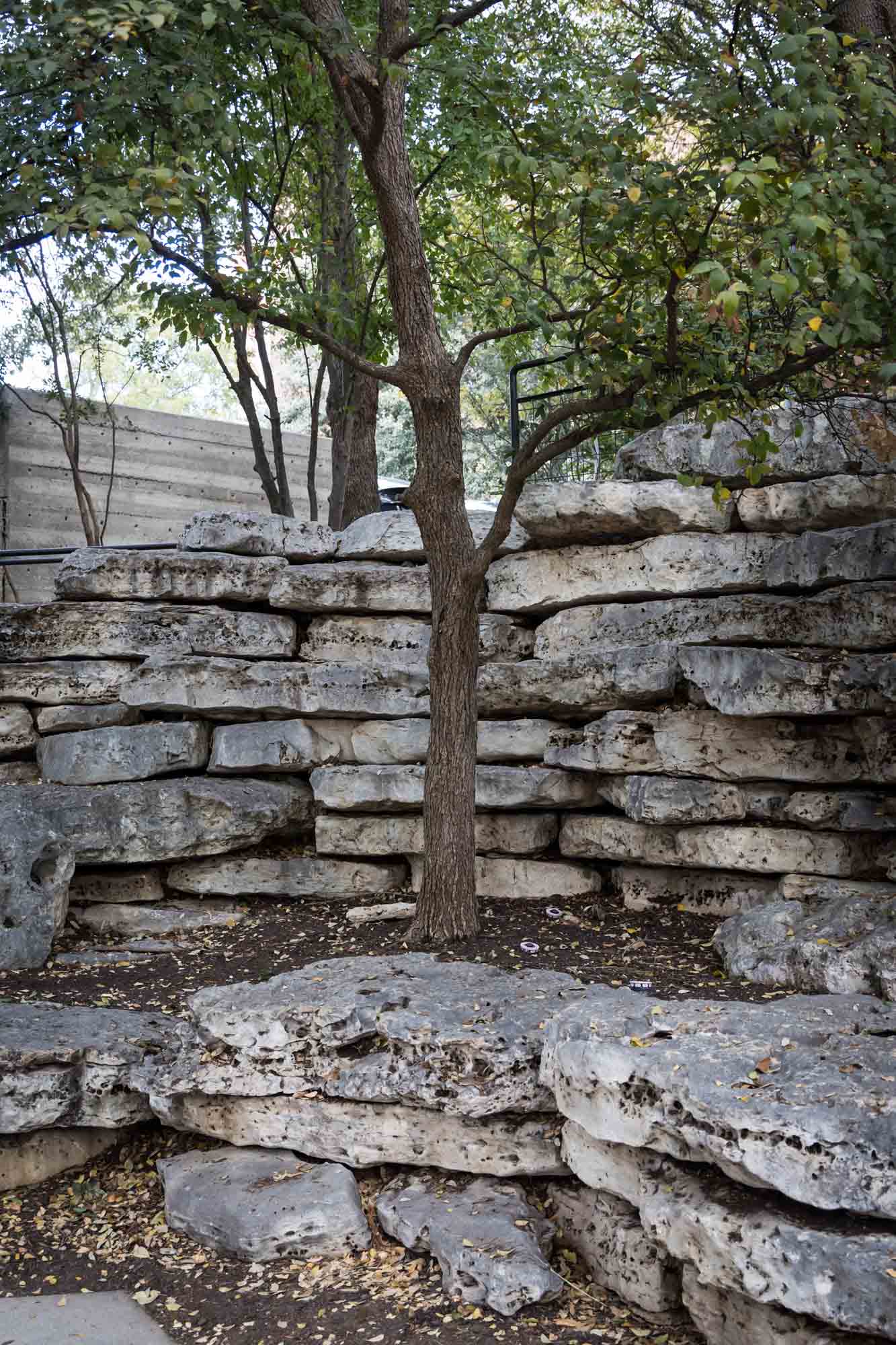 Tree and stacked stones for an article on rain backup photo locations at the Pearl in San Antonio