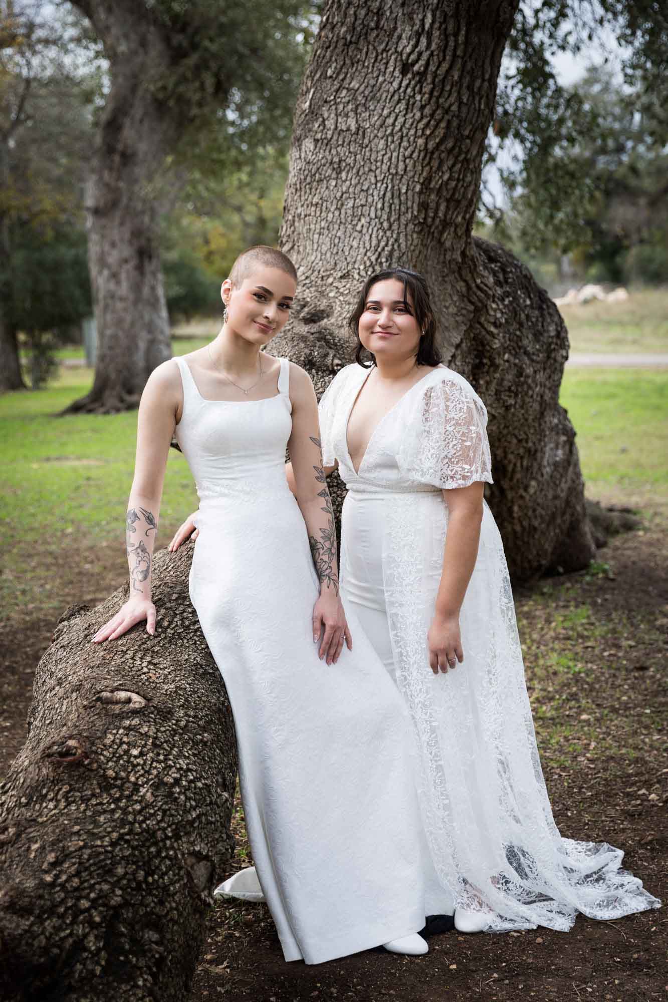 Walker Ranch Park wedding photos of two brides dressed in white standing in front of oak tree