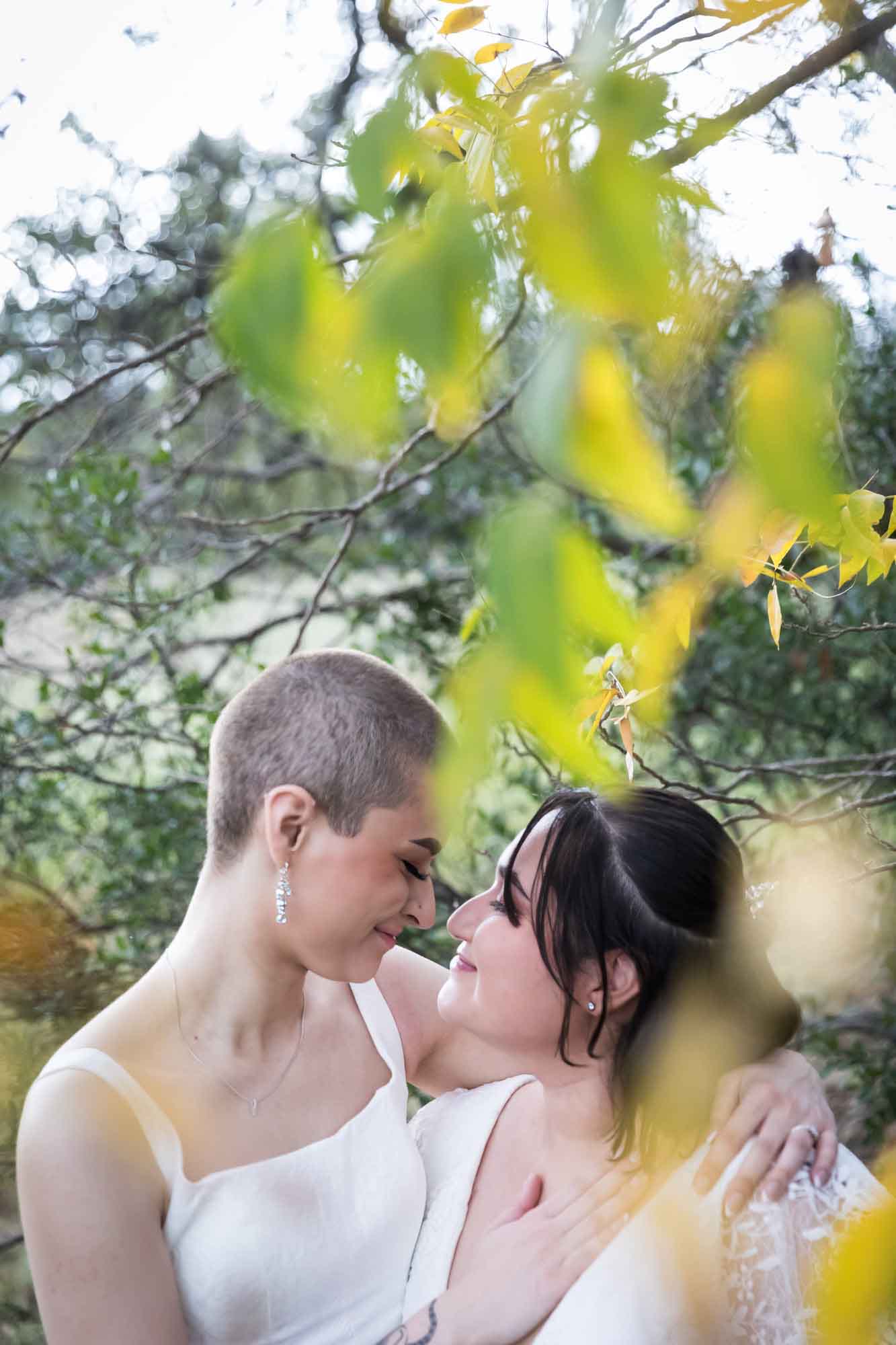 Walker Ranch Park wedding photos of two brides dressed in white hugging as viewed through yellow leaves