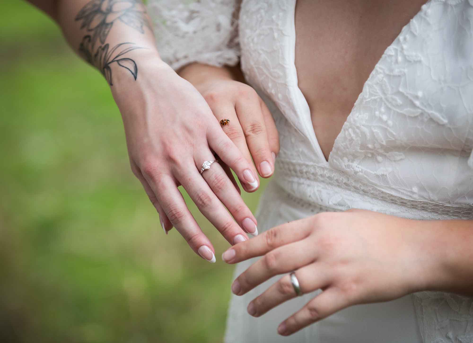 Walker Ranch Park wedding photos of two brides' hands showing wedding rings