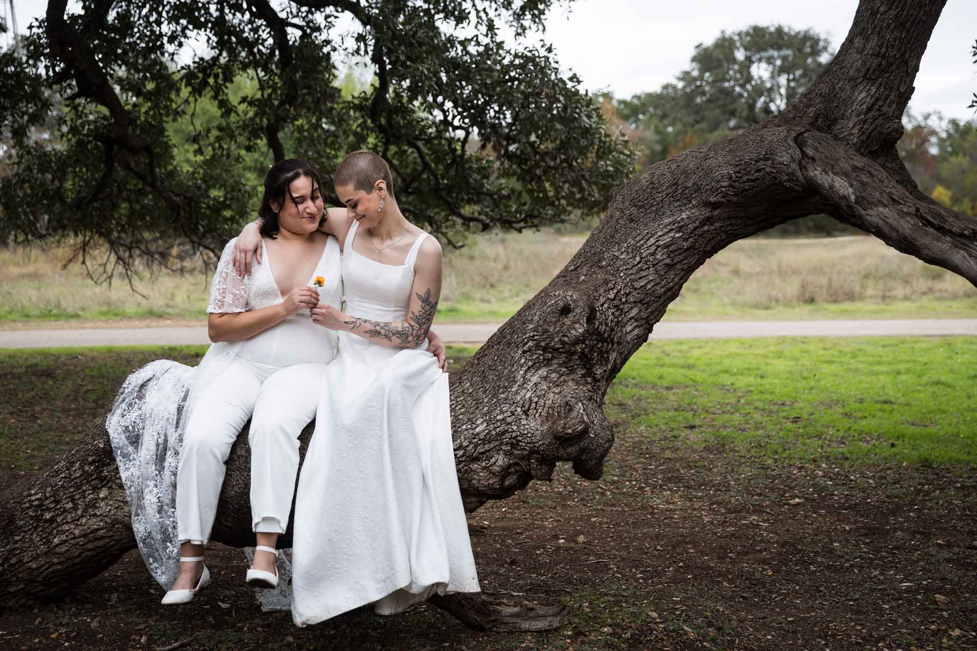 Walker Ranch Park wedding photos of two brides dressed in white sitting on a tree limb