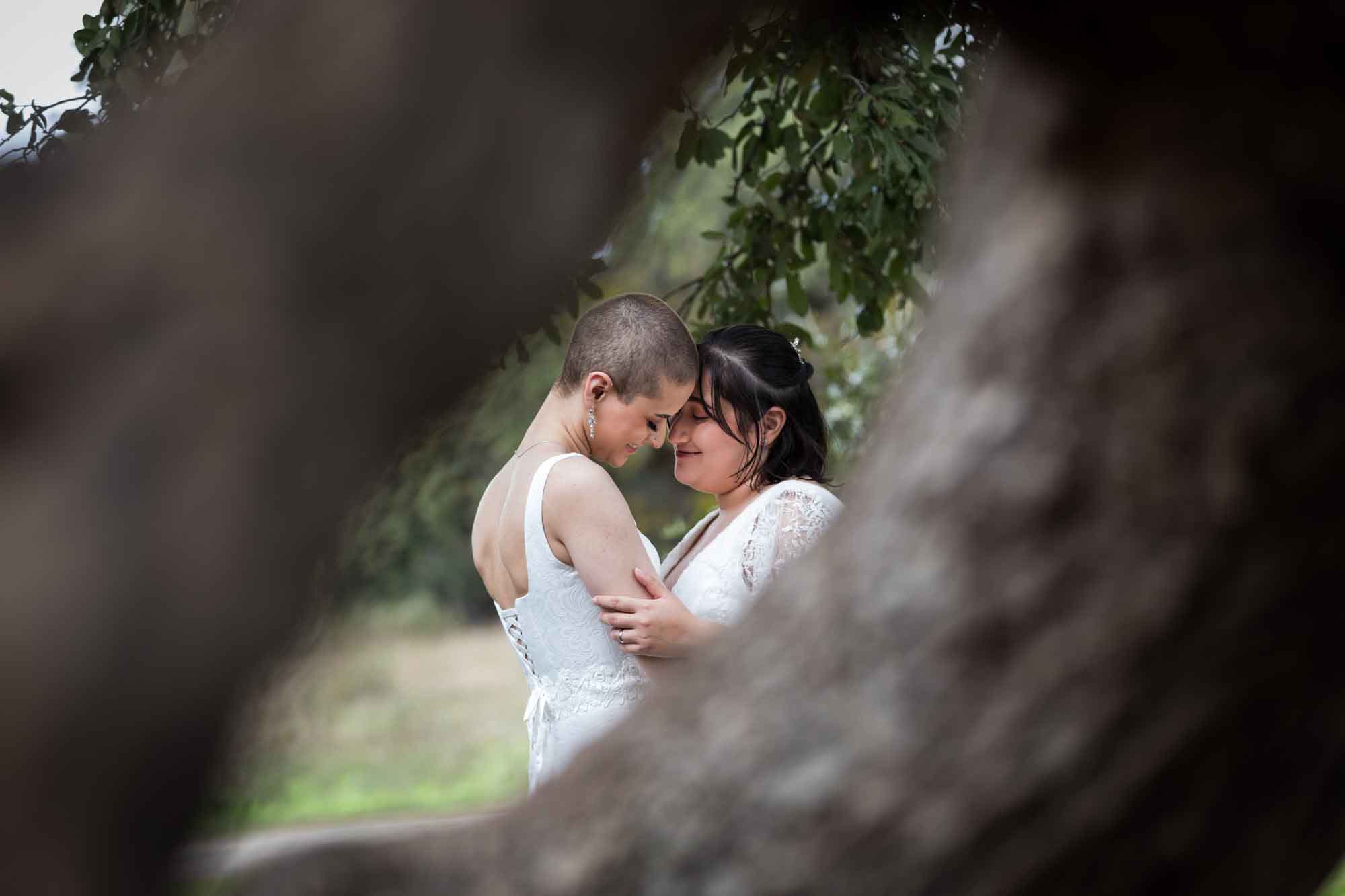 Walker Ranch Park wedding photos of two brides dressed in white hugging as viewed between tree limbs