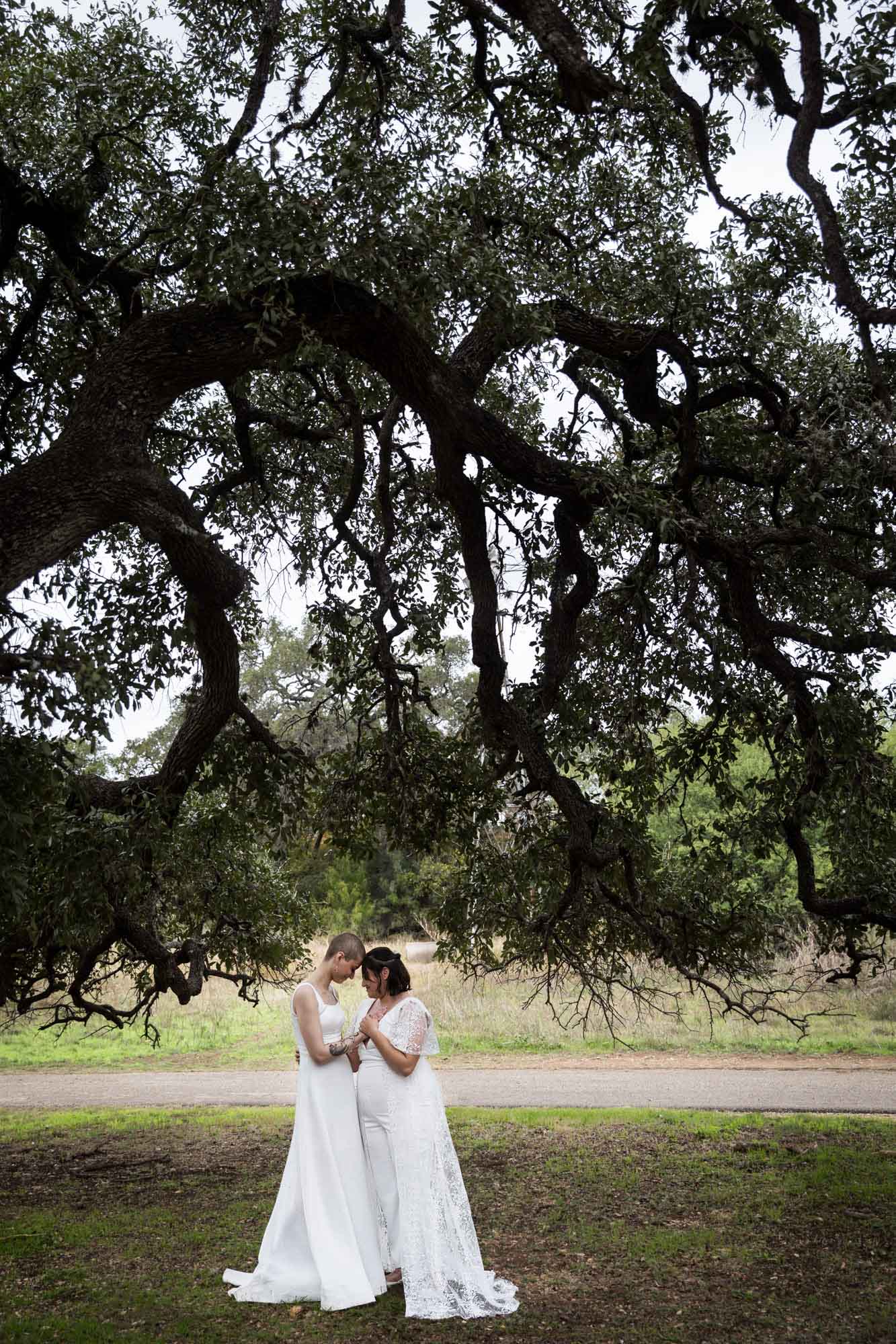 Walker Ranch Park wedding photos of two brides dressed in white standing under a tree