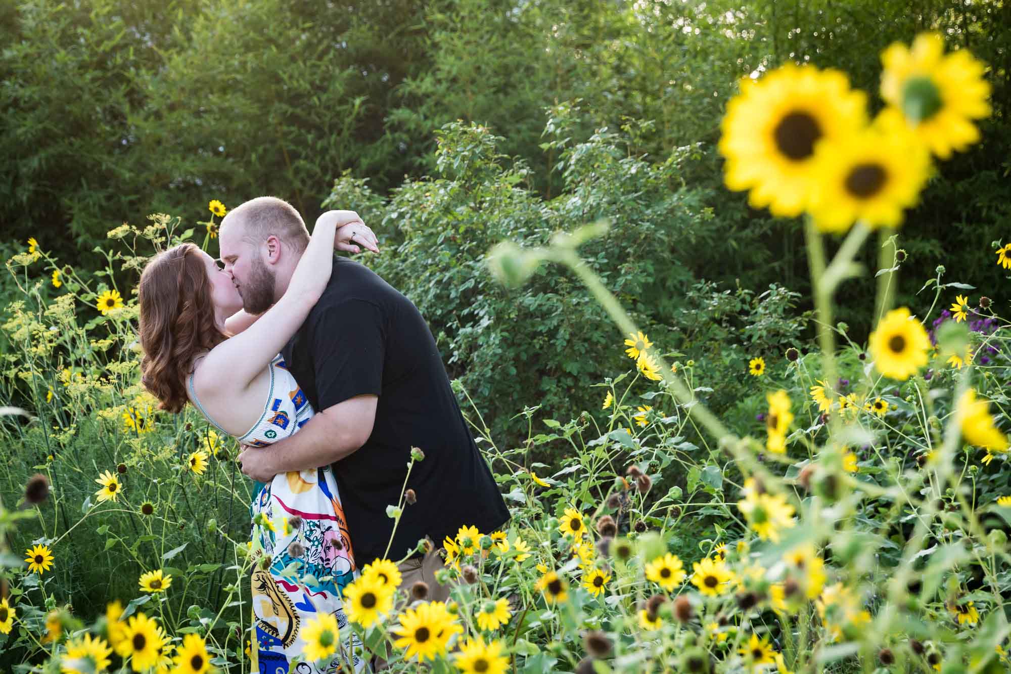 Couple kissing in flower garden of sunflowers during a Landa Library engagement portrait