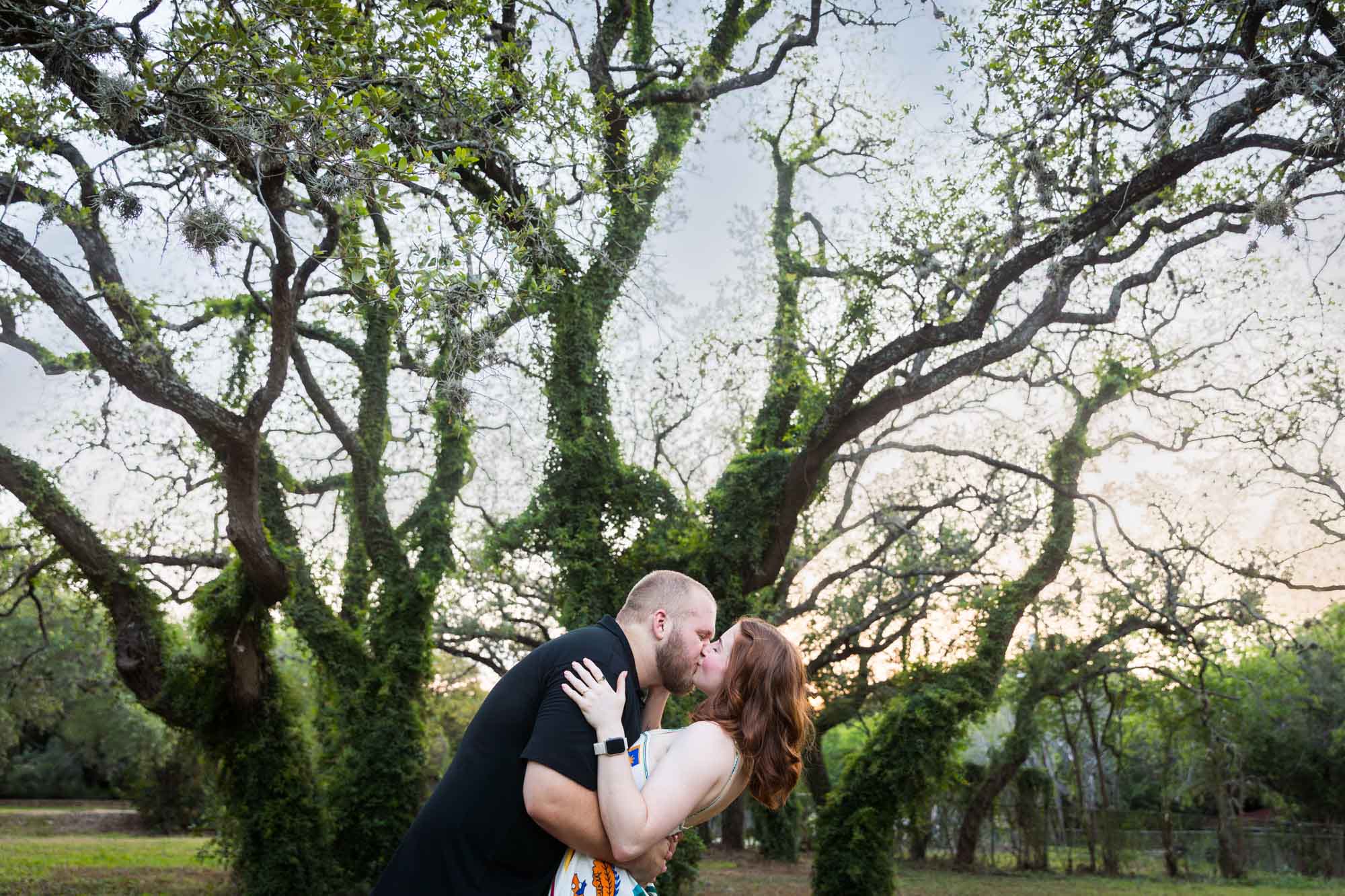 Couple kissing in front of a large oak tree for an article on how to propose at the Landa Library