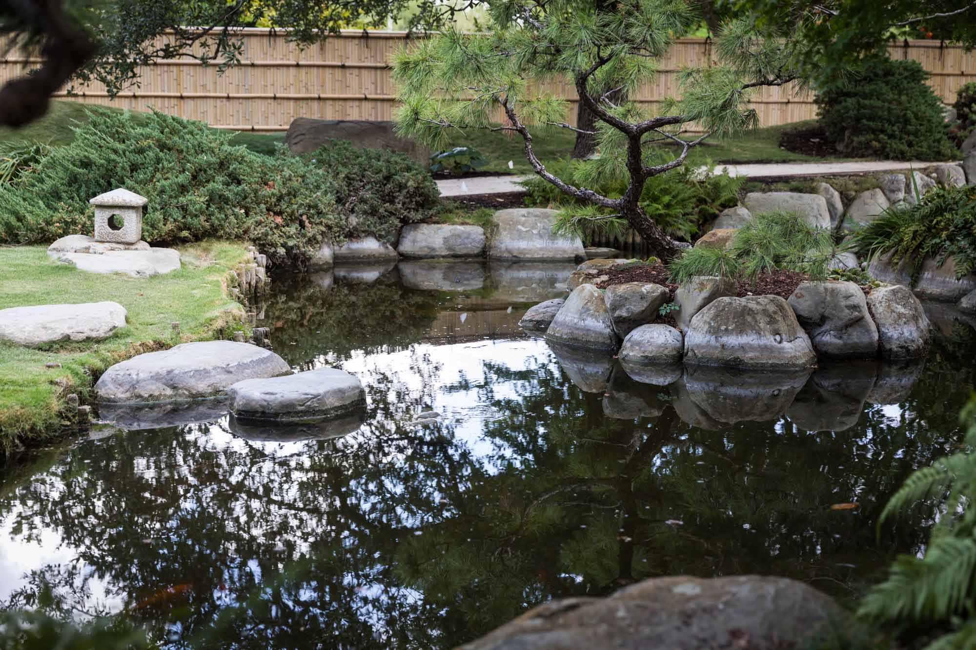 Wide view of Kumamoto En Japanese Garden showing azumaya, pond, stones, and trees for an article on the best San Antonio Botanical Garden photo locations