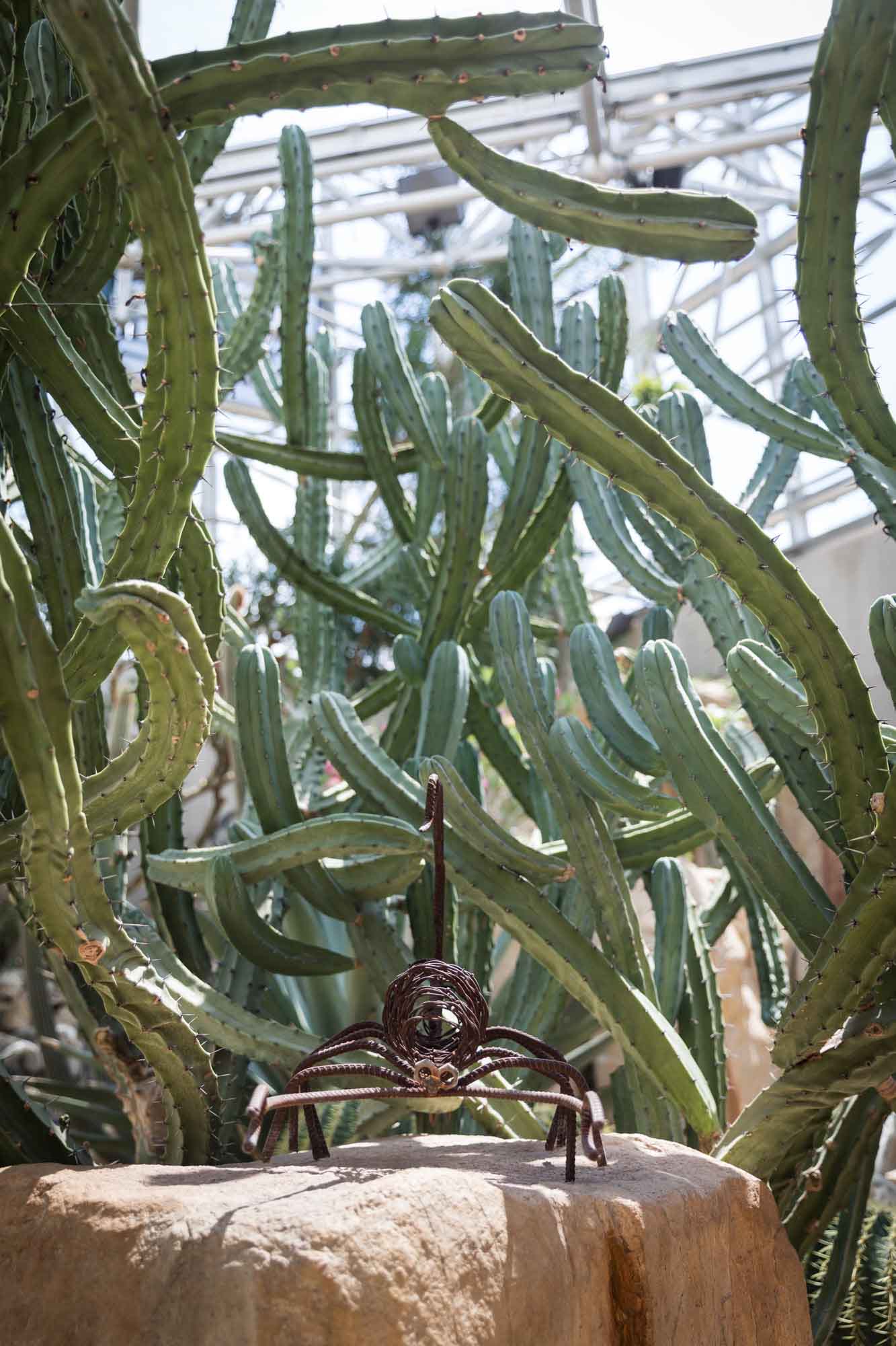Metal scorpion sculpture sitting on beige rock in front of cacti in desert greenhouse for an article on the best San Antonio Botanical Garden photo locations