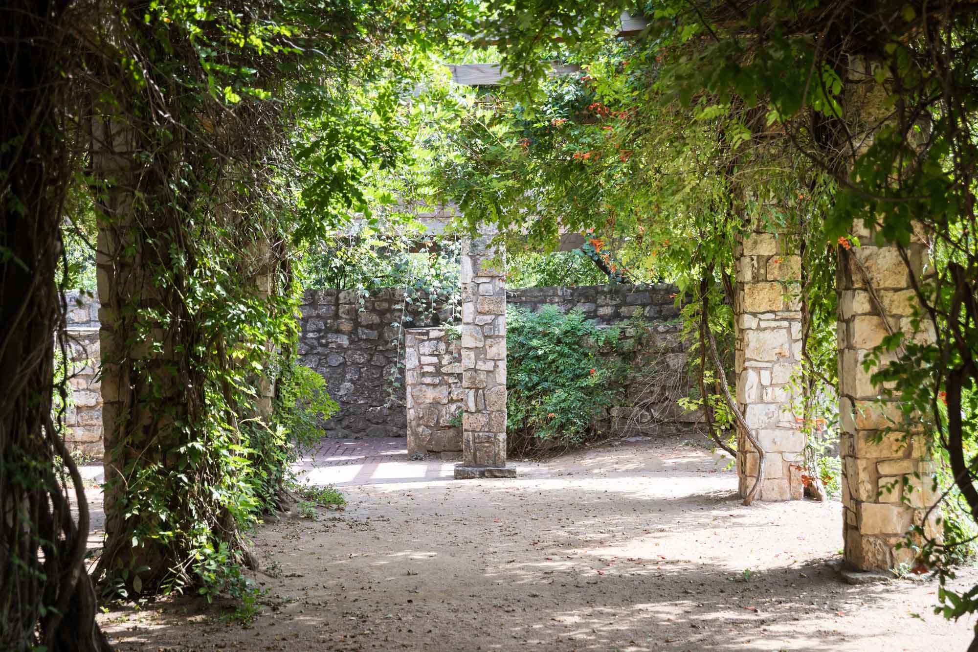 Stone covered columns of amphitheater trellis covered in green vines for an article on the best San Antonio Botanical Garden photo locations