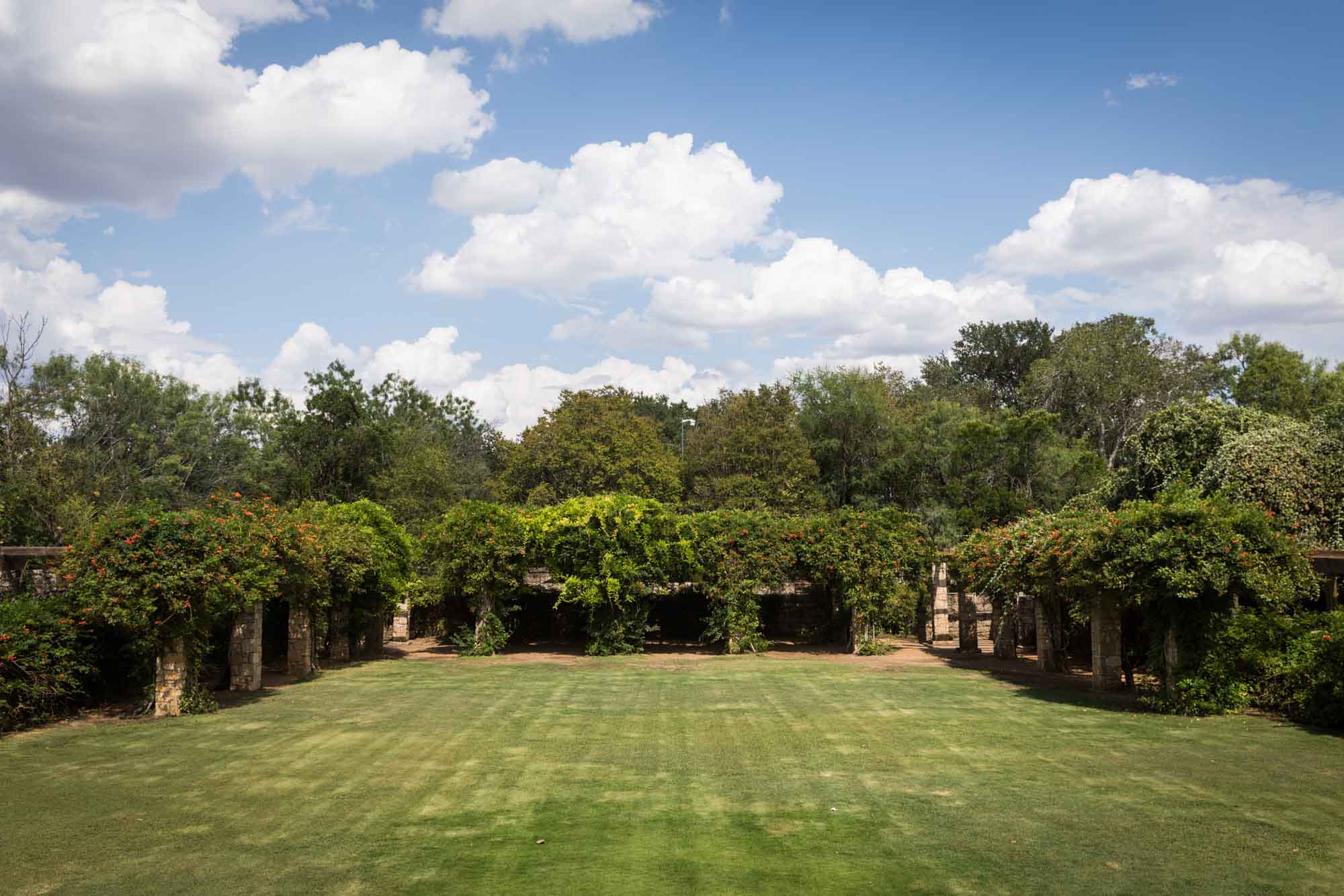 Wide view of grass and stone columns covered in vines of amphitheater for an article on the best San Antonio Botanical Garden photo locations