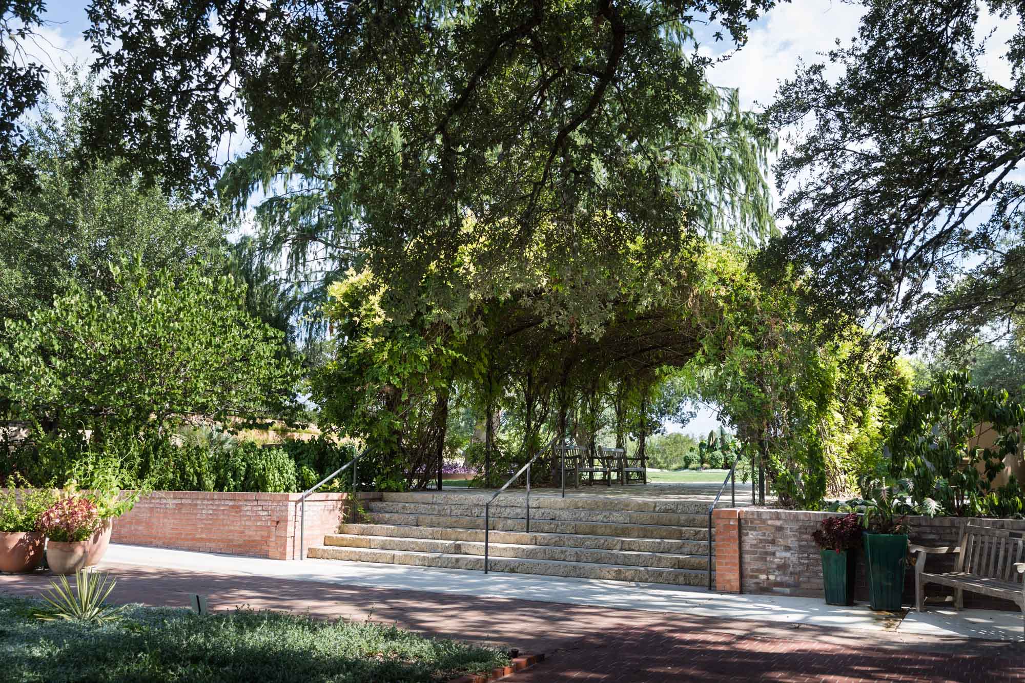 Steps from wisteria arbor through to the old-fashioned gardens for an article on the best San Antonio Botanical Garden photo locations