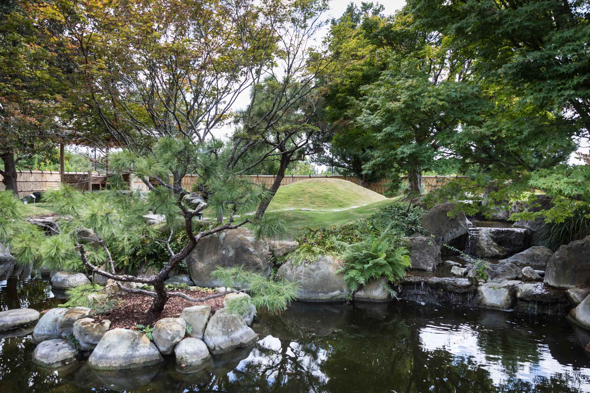 Wide view of Kumamoto En Japanese Garden showing pond, waterfall, stones, and trees for an article on the best San Antonio Botanical Garden photo locations
