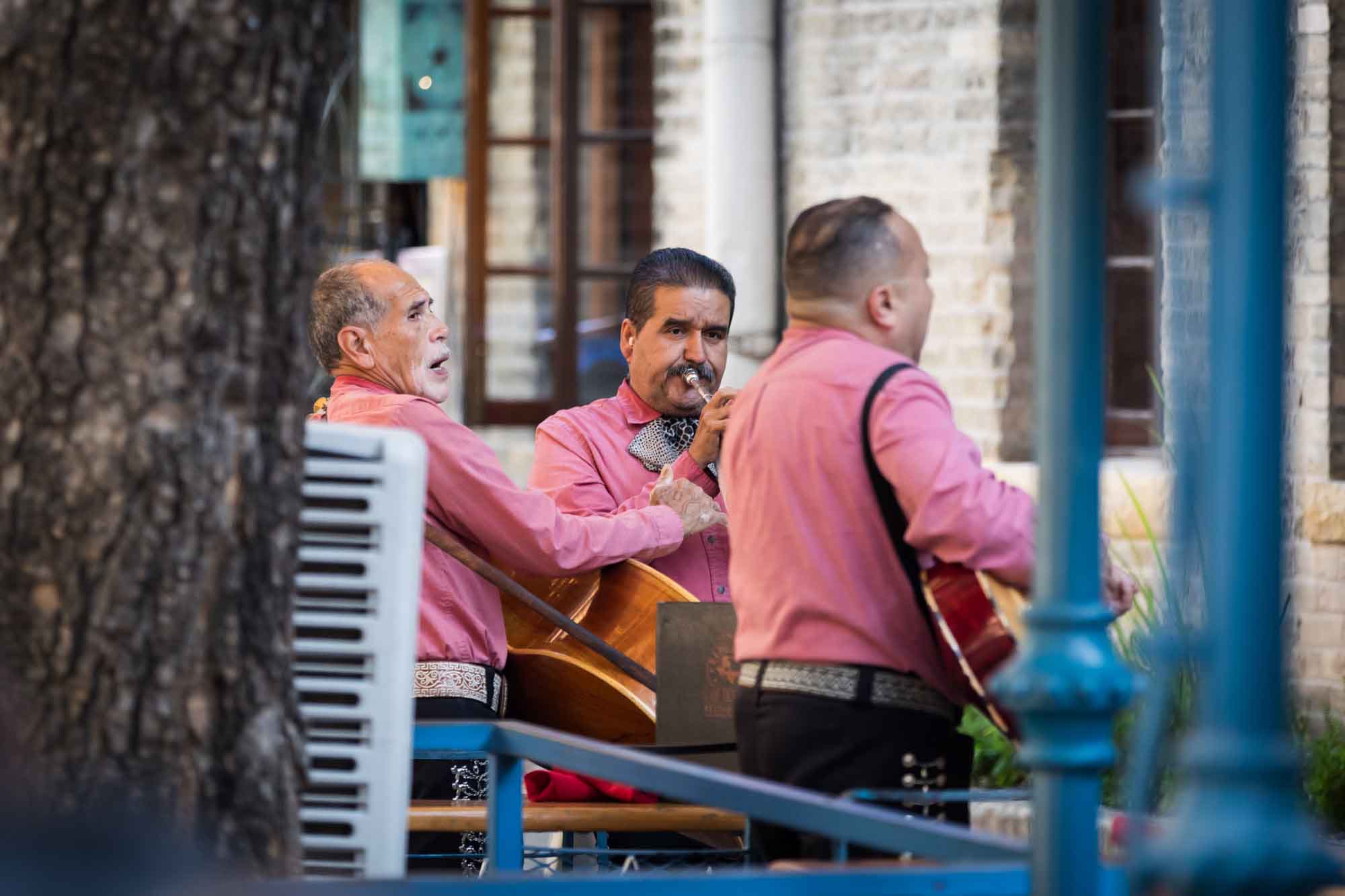 Group of three mariachis wearing pink shirts playing music for an article on how to get married on a River Walk boat