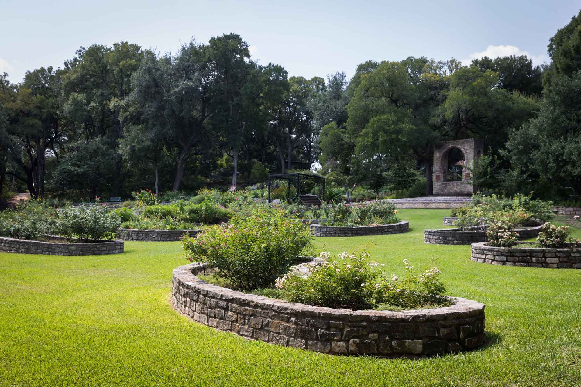 Rose bushes in beds surrounded by stones for an article on the best Zilker Botanical Garden photo locations