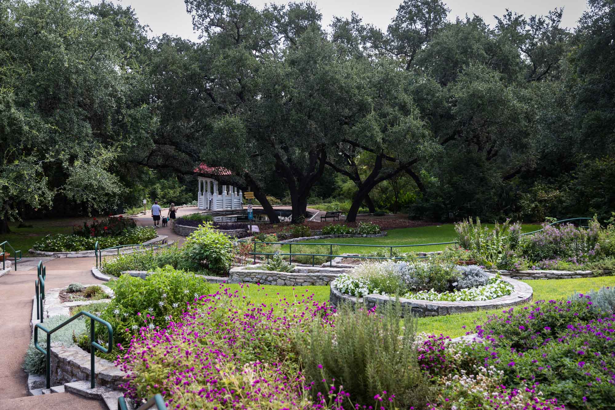 Colorful flower beds with trees in background for an article on the best Zilker Botanical Garden photo locations